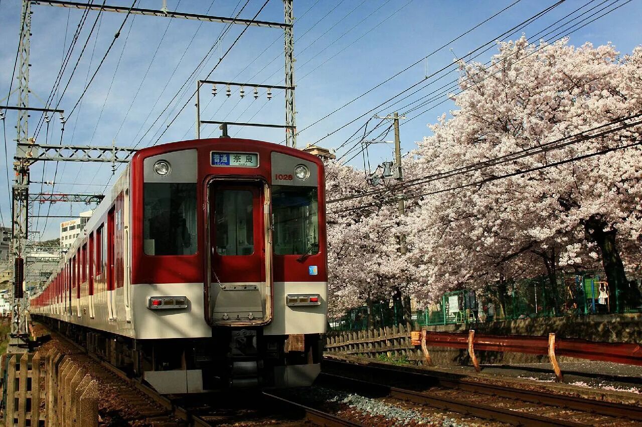 KINTETSU RAIL PASS