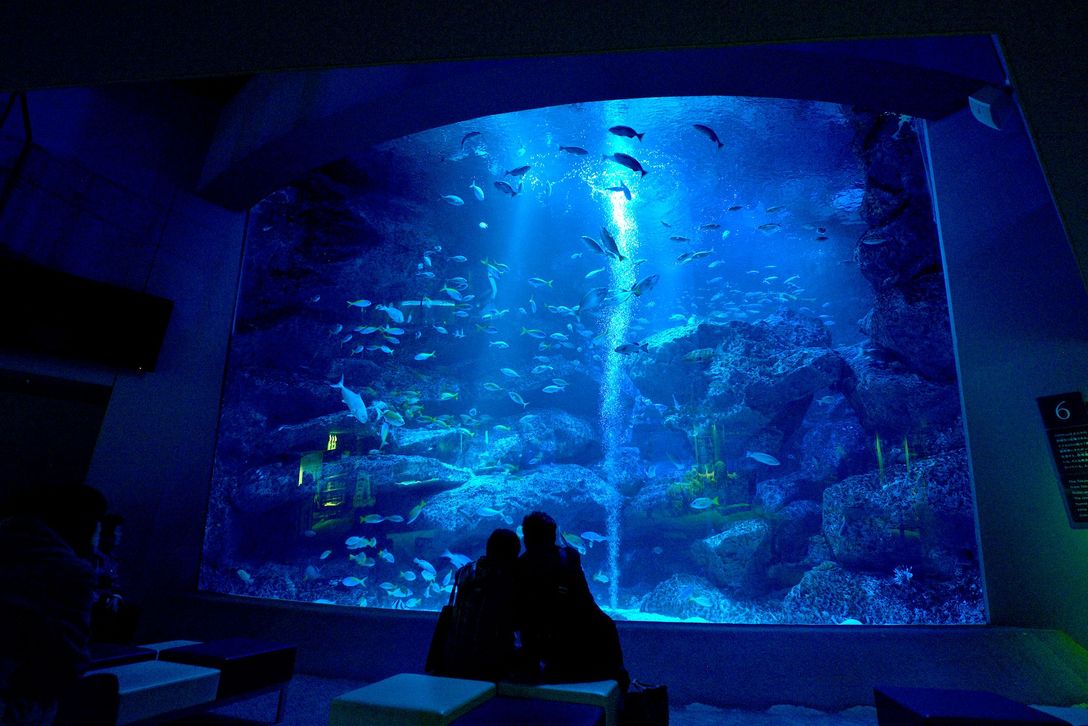スカイツリーエンジョイパック（すみだ水族館入場プラン