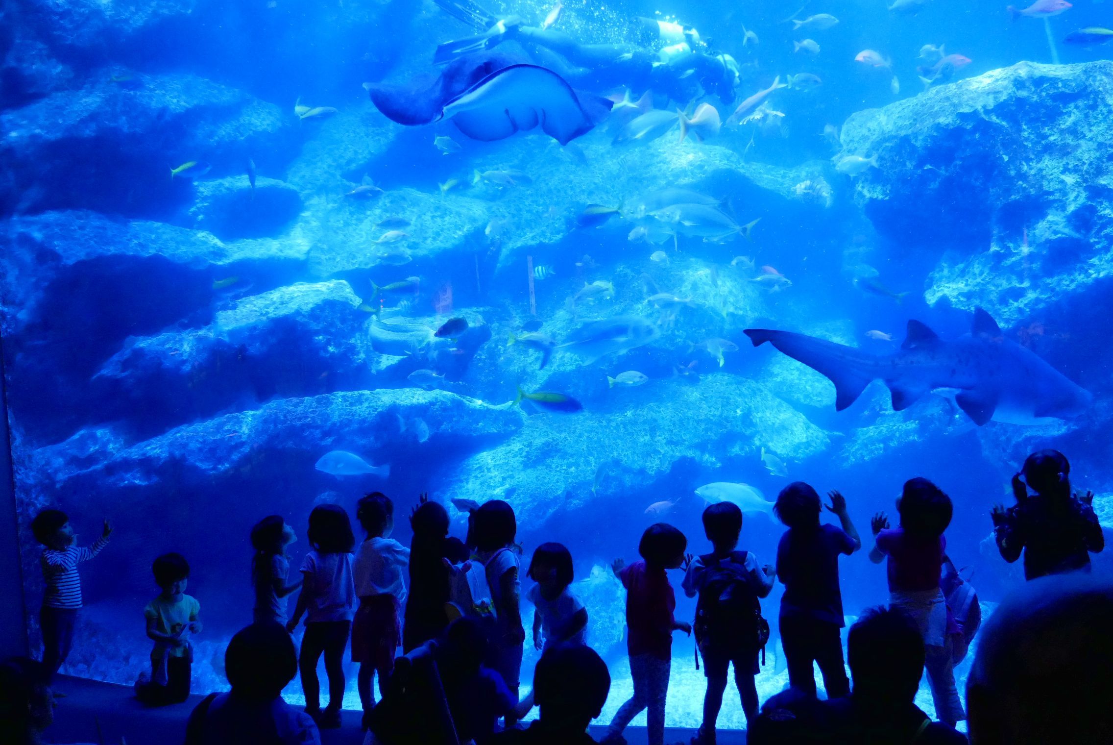 SKYTREE® Enjoy Pack Sumida Aquarium Plan