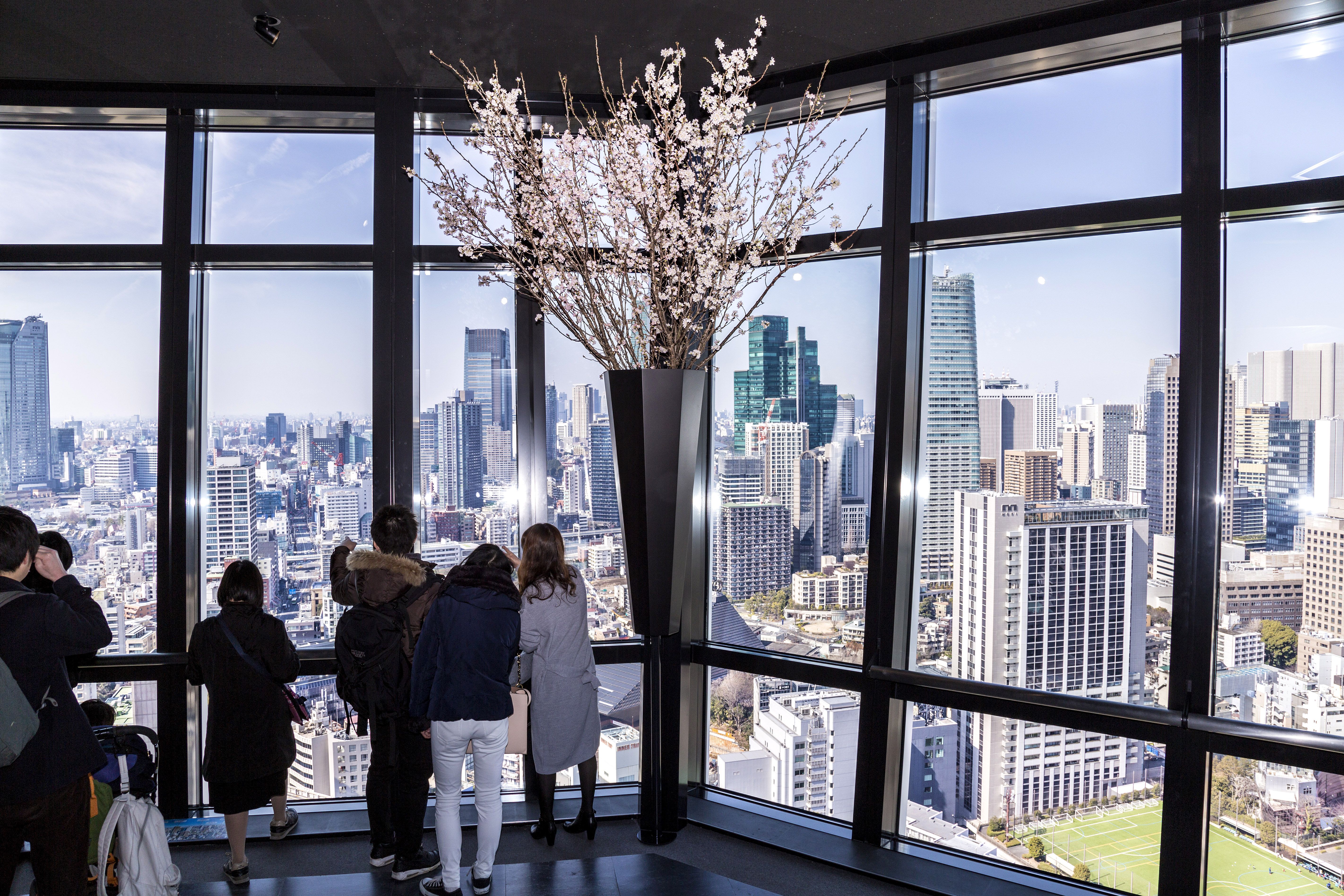 東京タワーメインデッキとRED°TOKYO TOWER 1時間お試しチケットのセット