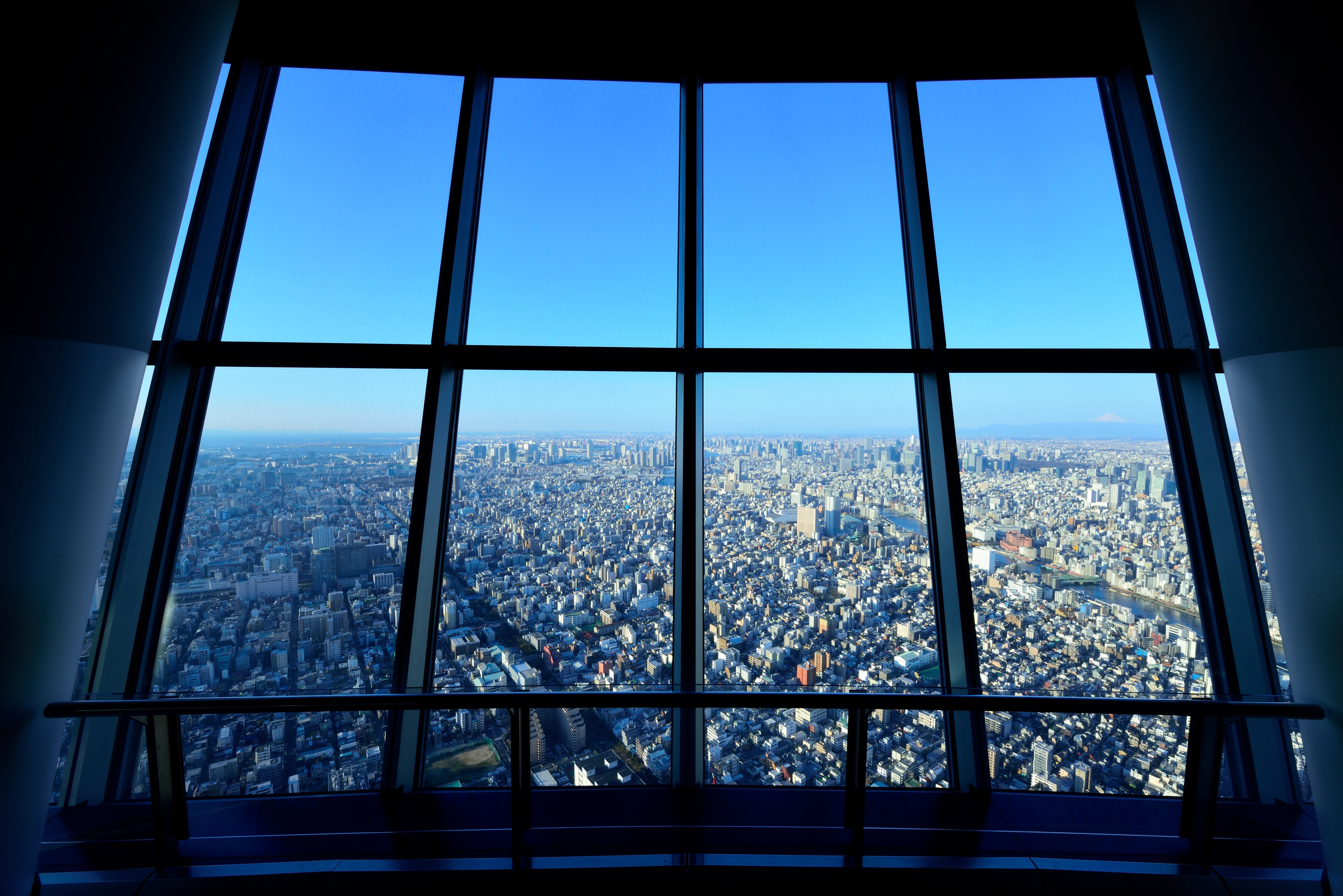 スカイツリーエンジョイパック　大昆虫展プラン