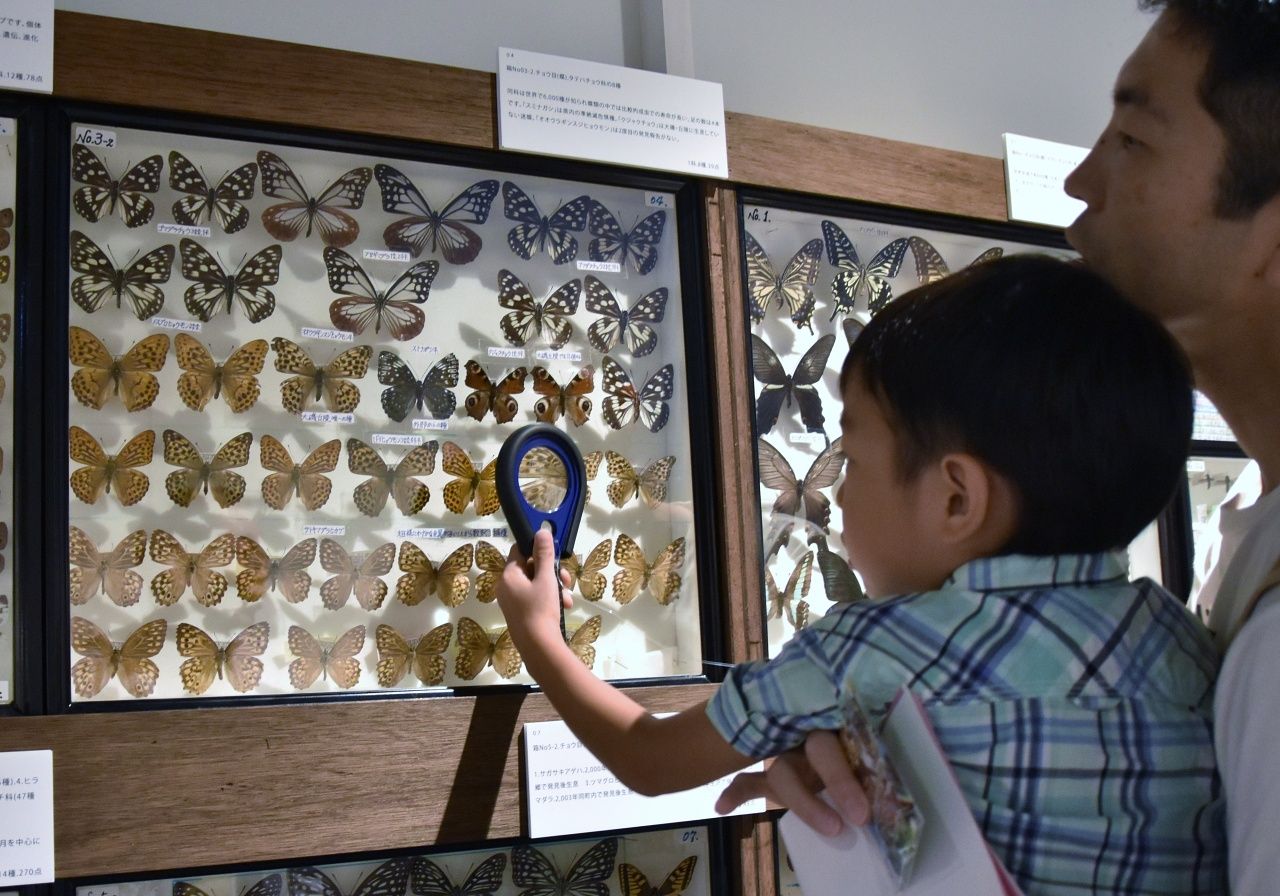 スカイツリーエンジョイパック　大昆虫展プラン