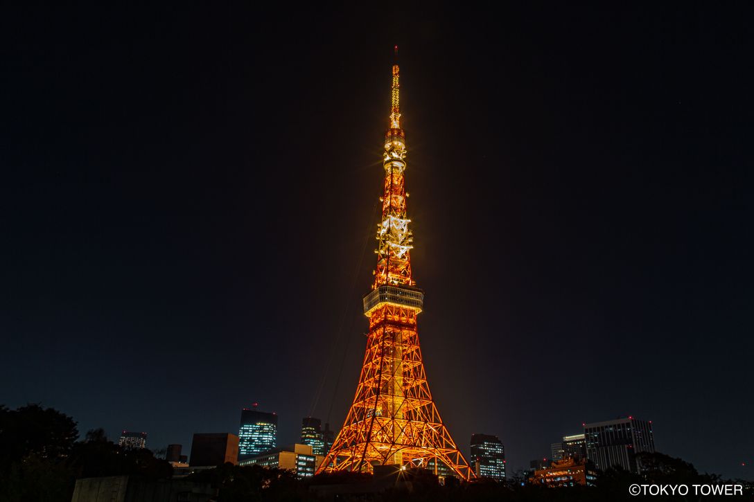 東京タワーメインデッキ（150M）入場チケット+スカイホップバス