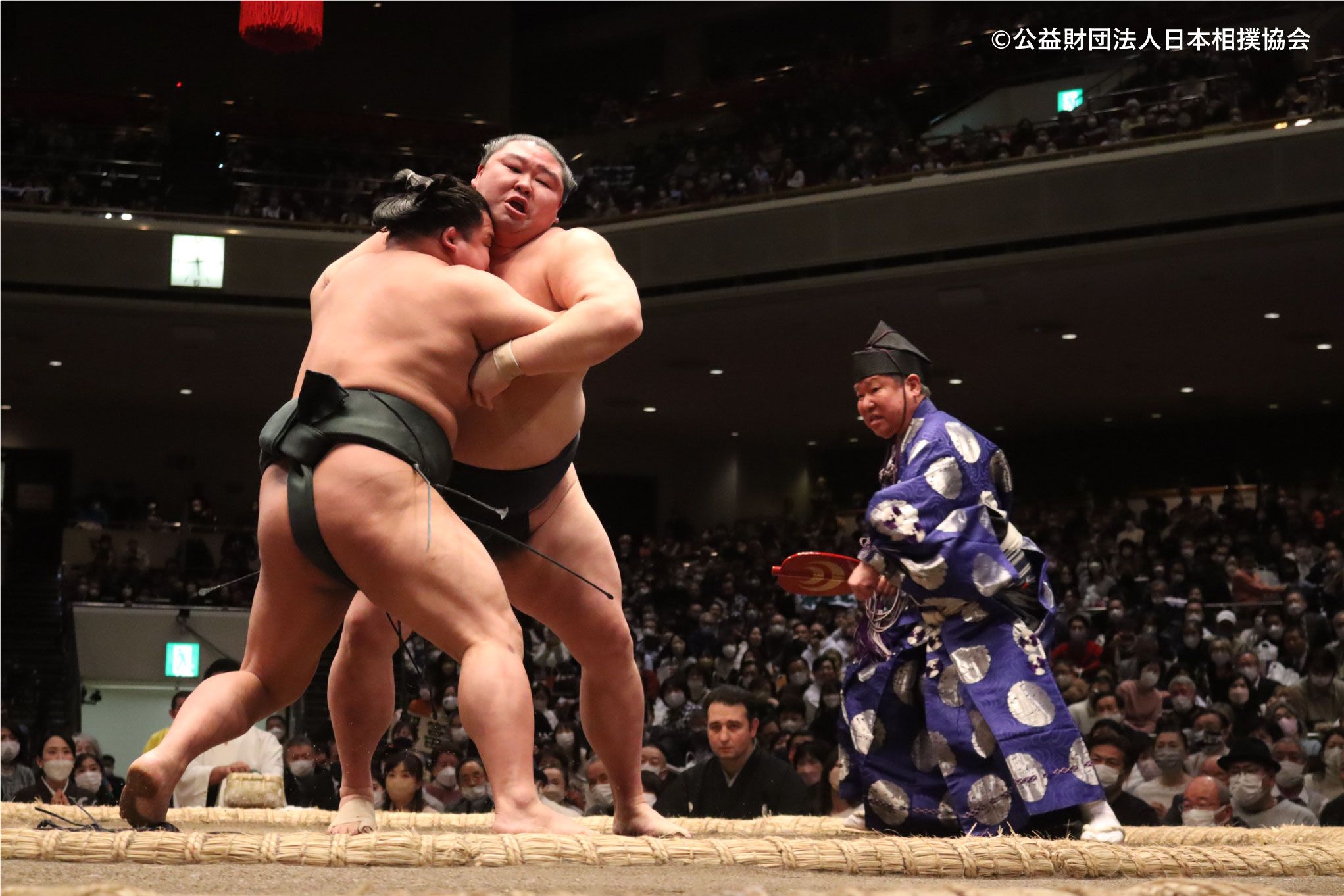Tokyo Grand Sumo Tournament A Class Chair Seat & Sumo Experience with Lunch