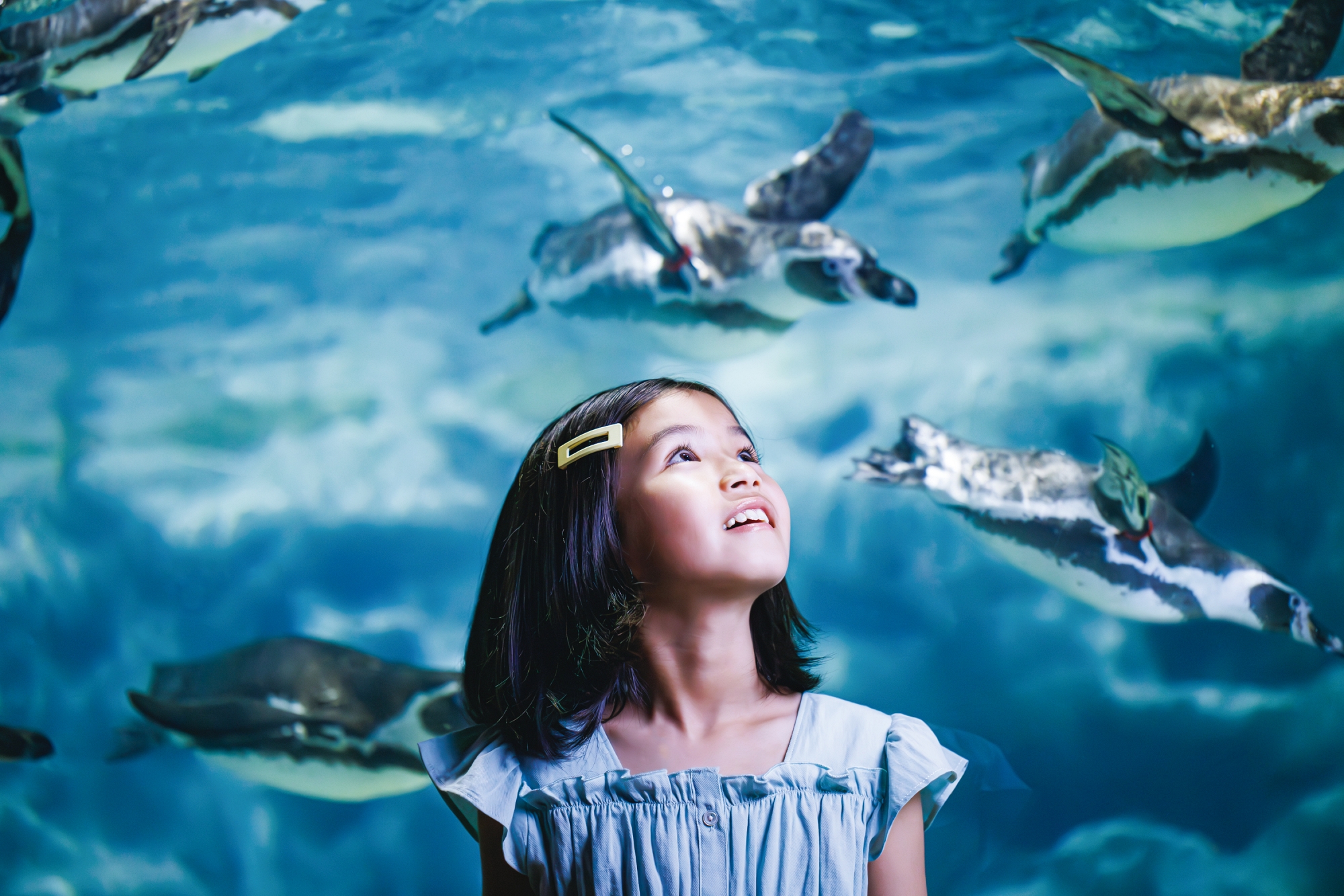 DMM Kariyushi Aquarium Admission Ticket 2025