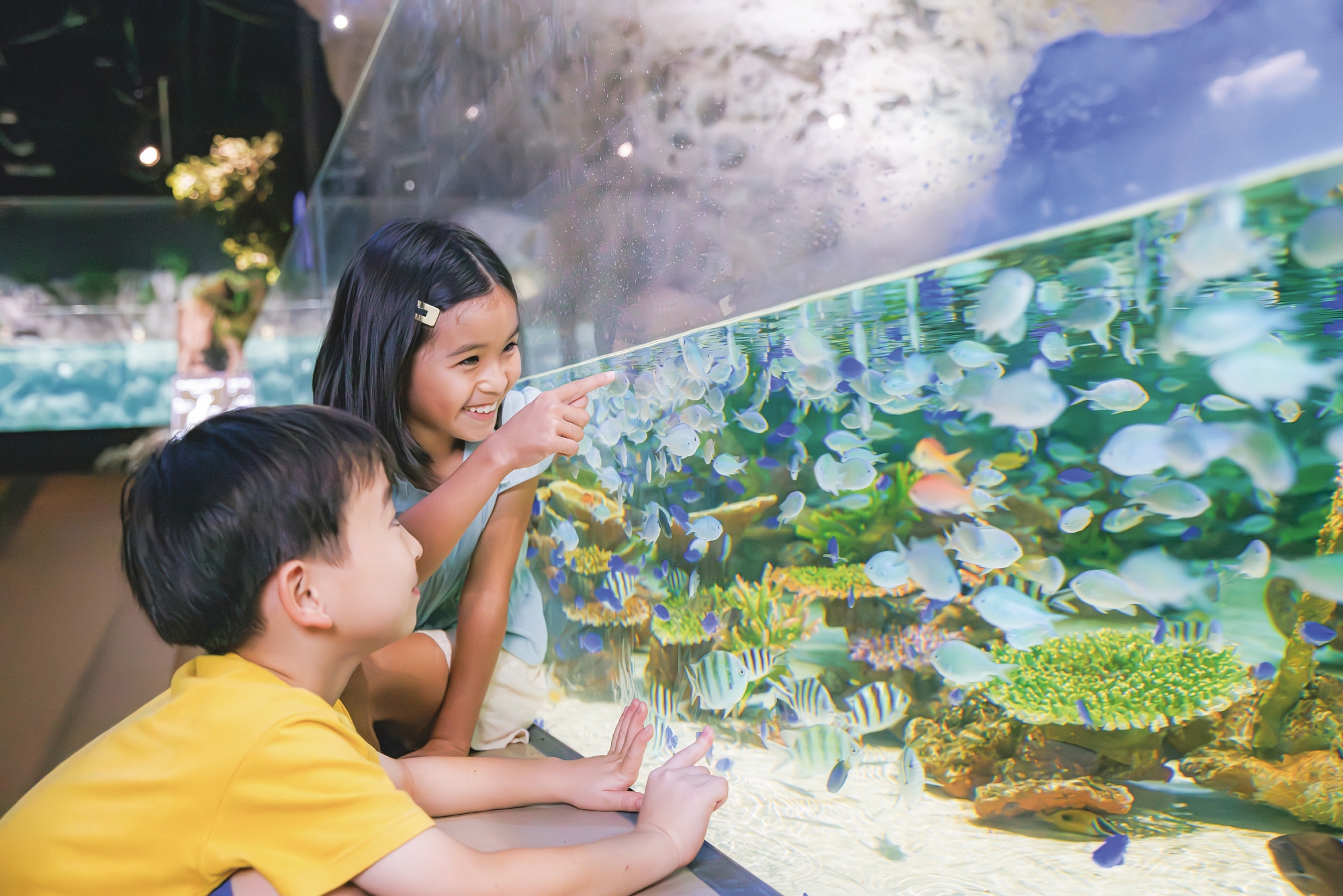 DMM Kariyushi Aquarium Admission Ticket 2025