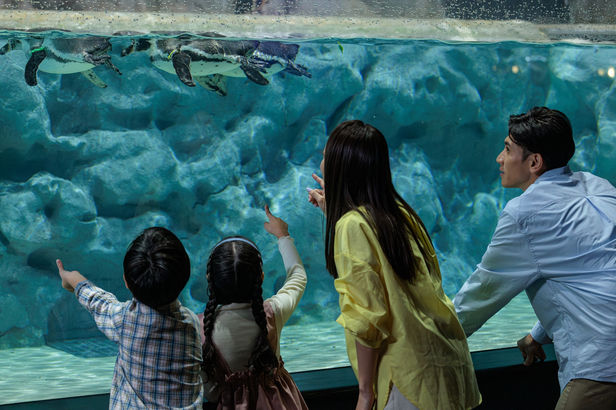 DMM Kariyushi Aquarium Admission Ticket 2025