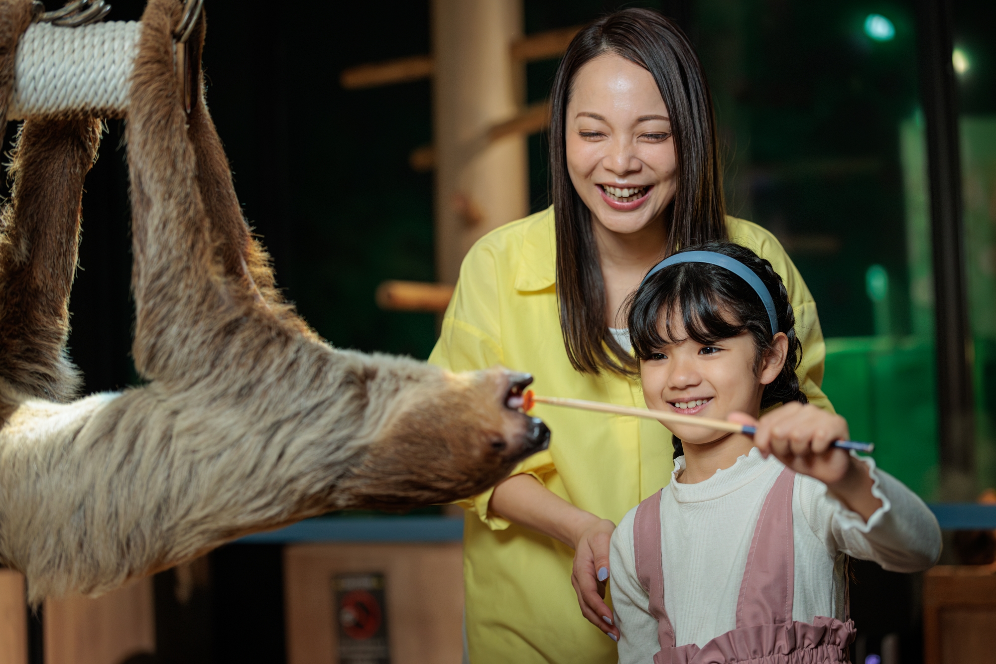 DMM Kariyushi Aquarium Admission Ticket 2025