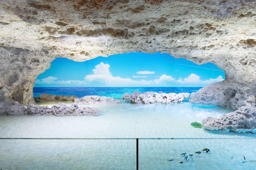 DMMかりゆし水族館 入館チケット