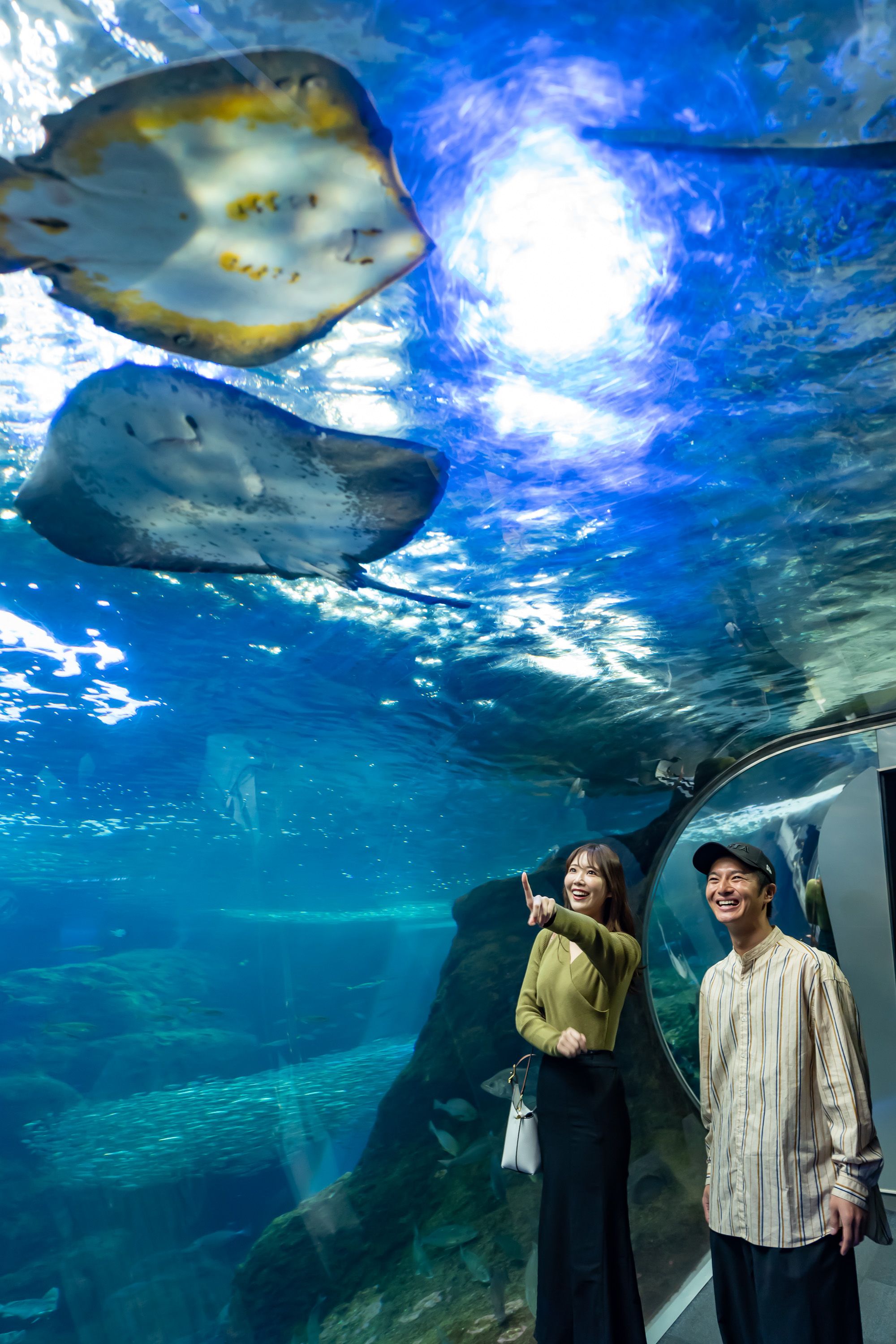 Enoshima Aquarium Admission E-Ticket