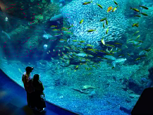 新江ノ島水族館 入場Eチケット