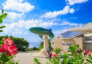 沖繩美麗海5 PASS・5景點套票（含美麗海水族館）、沖繩PASS・3景點套票