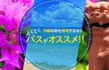 2025 美ら海とくとく５パス、沖縄とくとく３パス