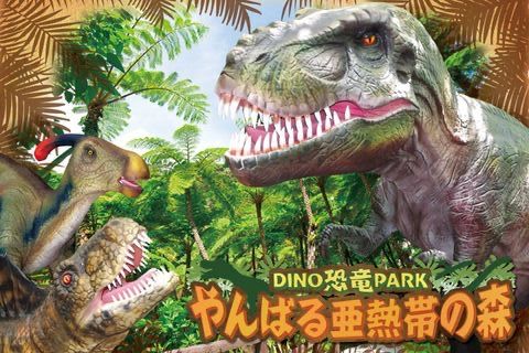 2025 Churaumi Tokutoku 5 Pass、Okinawa Tokutoku 3 Pass
