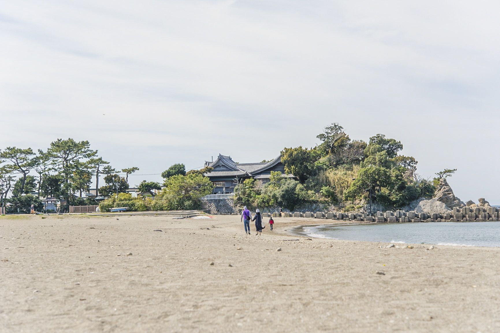 Greater Tokyo Pass
