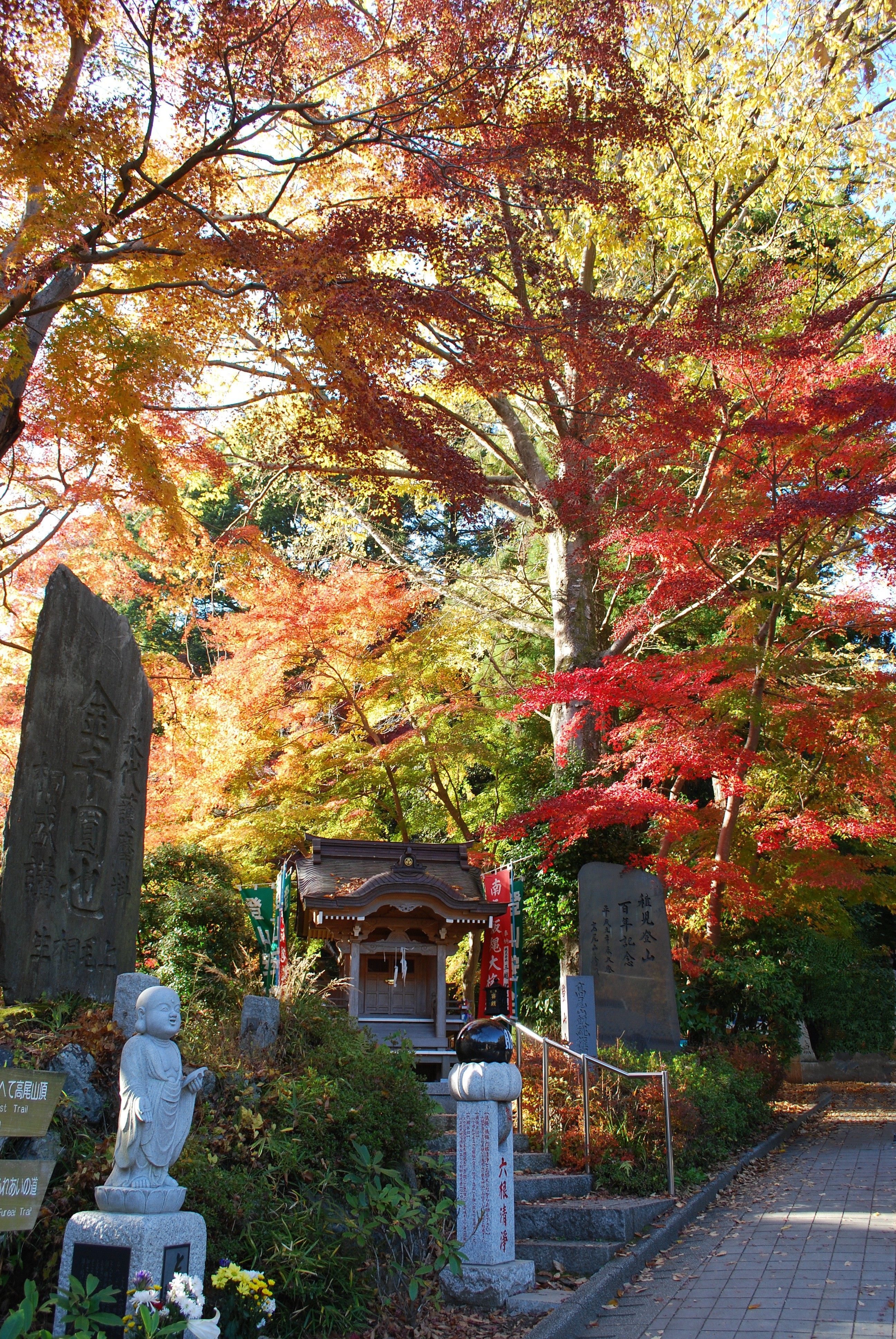 Greater Tokyo Pass