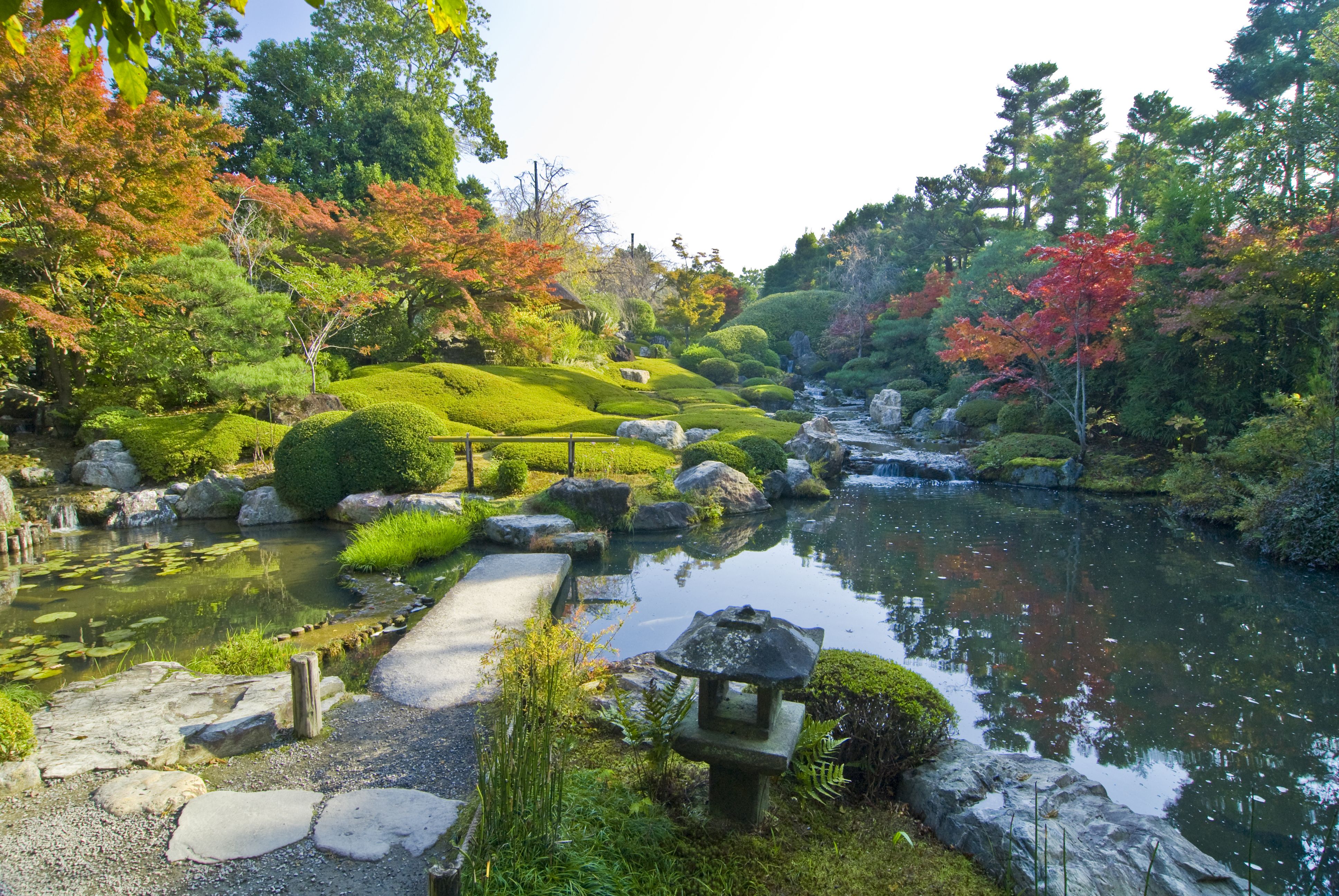 京都妙心寺塔頭 退蔵院拝観と花ごころでの昼食プラン