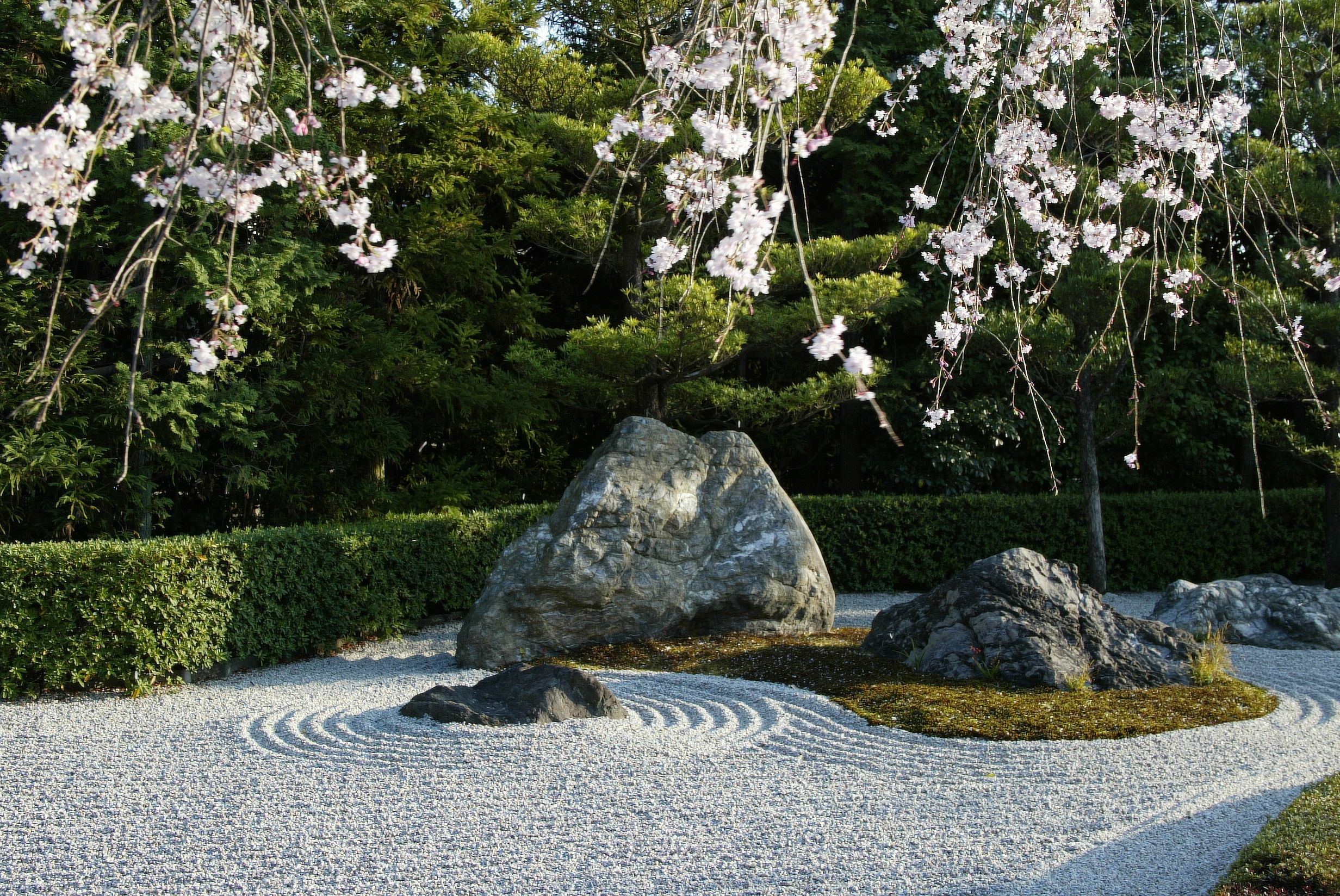 京都妙心寺塔頭 退蔵院拝観と花ごころでの昼食プラン