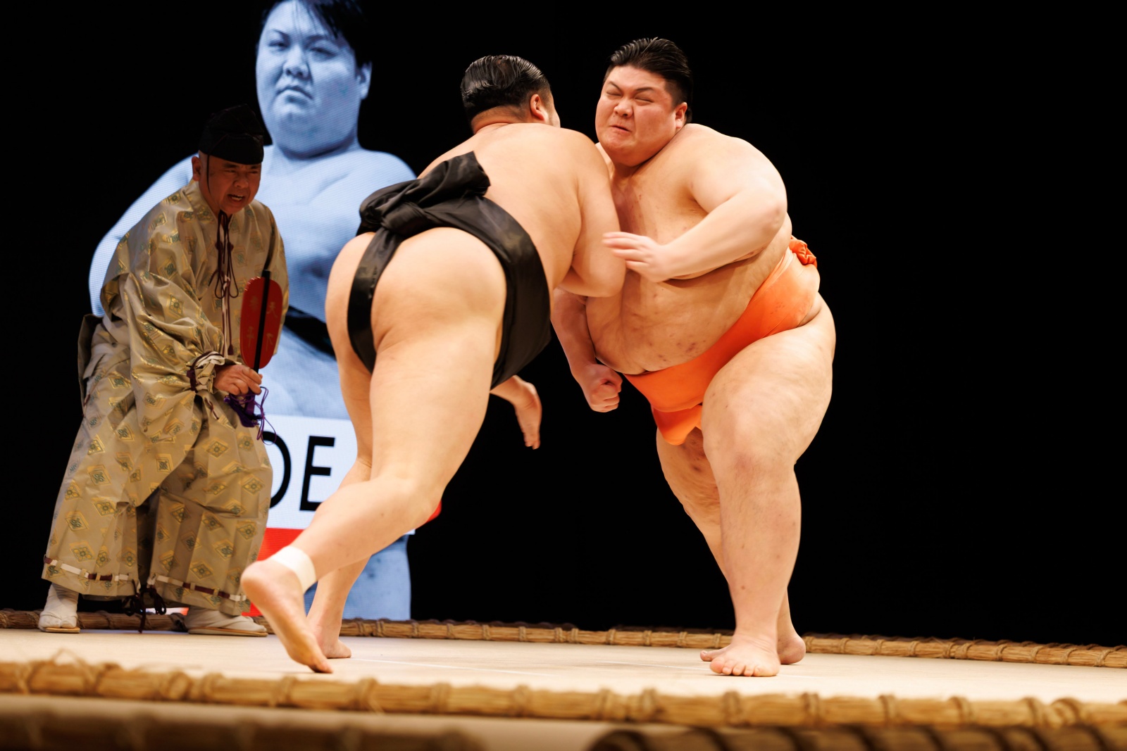 THE SUMO HALL HIRAKUZA OSAKA Sumo Show お弁当プラン【楽天トラベル