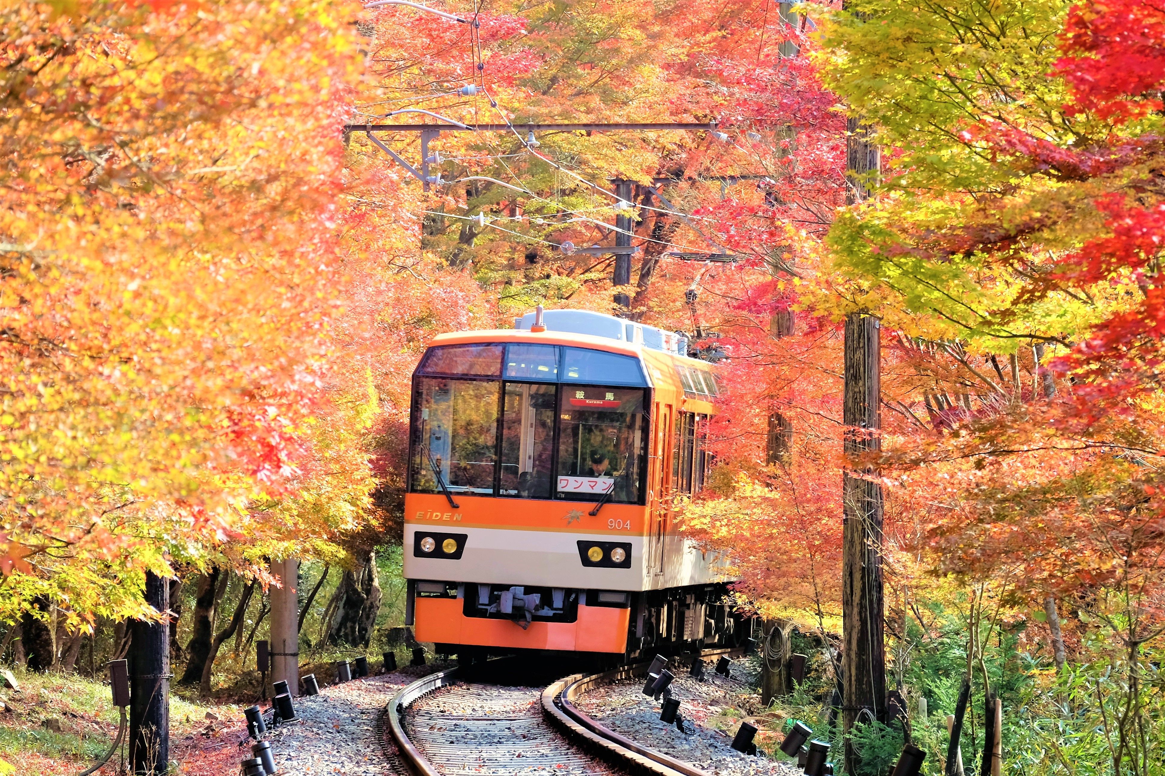【デジタル乗車券】KYOTO-OSAKA SIGHTSEEING PASS ＜Greater KURAMA & KIBUNE area＞