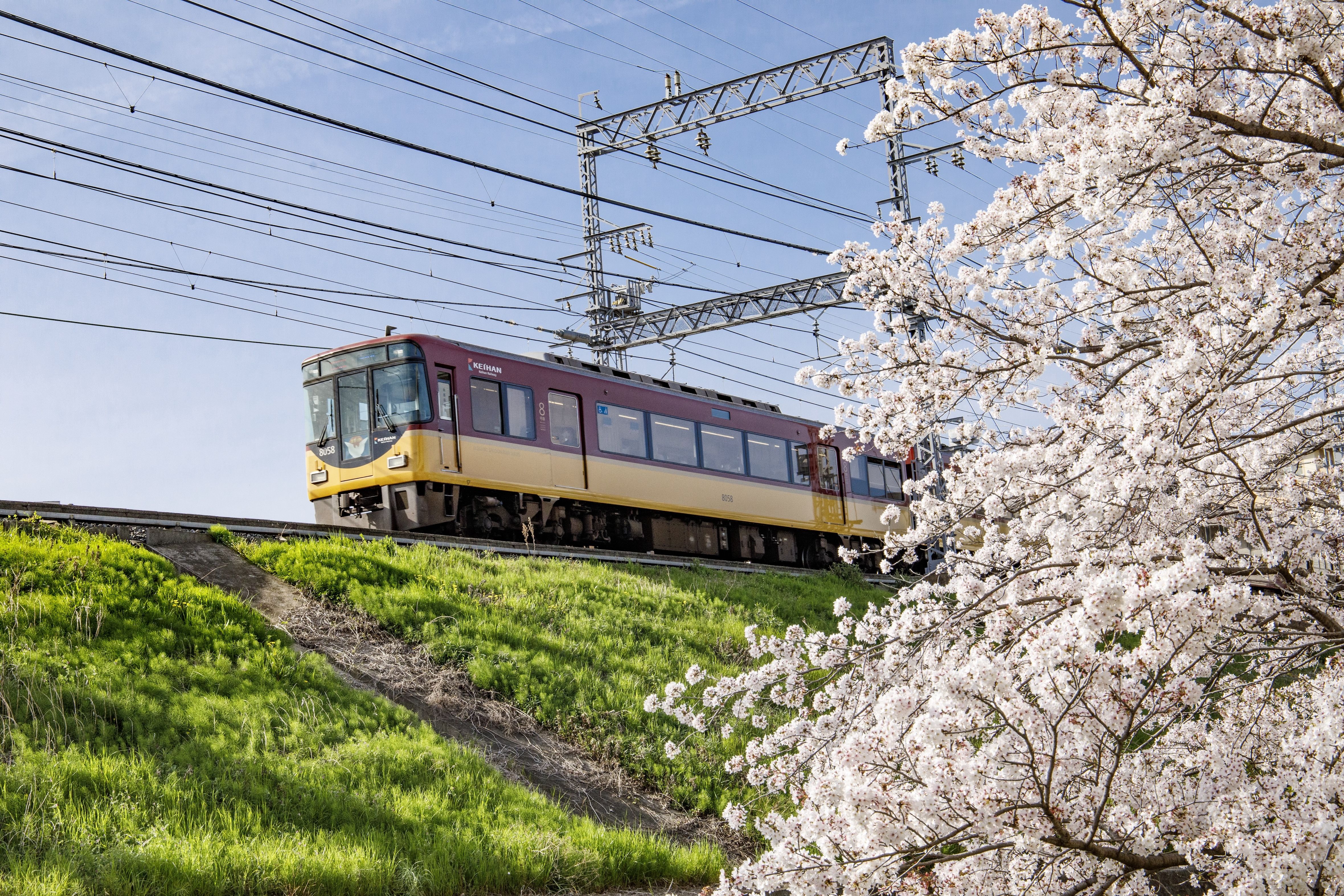 [Digital Ticket] KYOTO SIGHTSEEING PASS 1day
