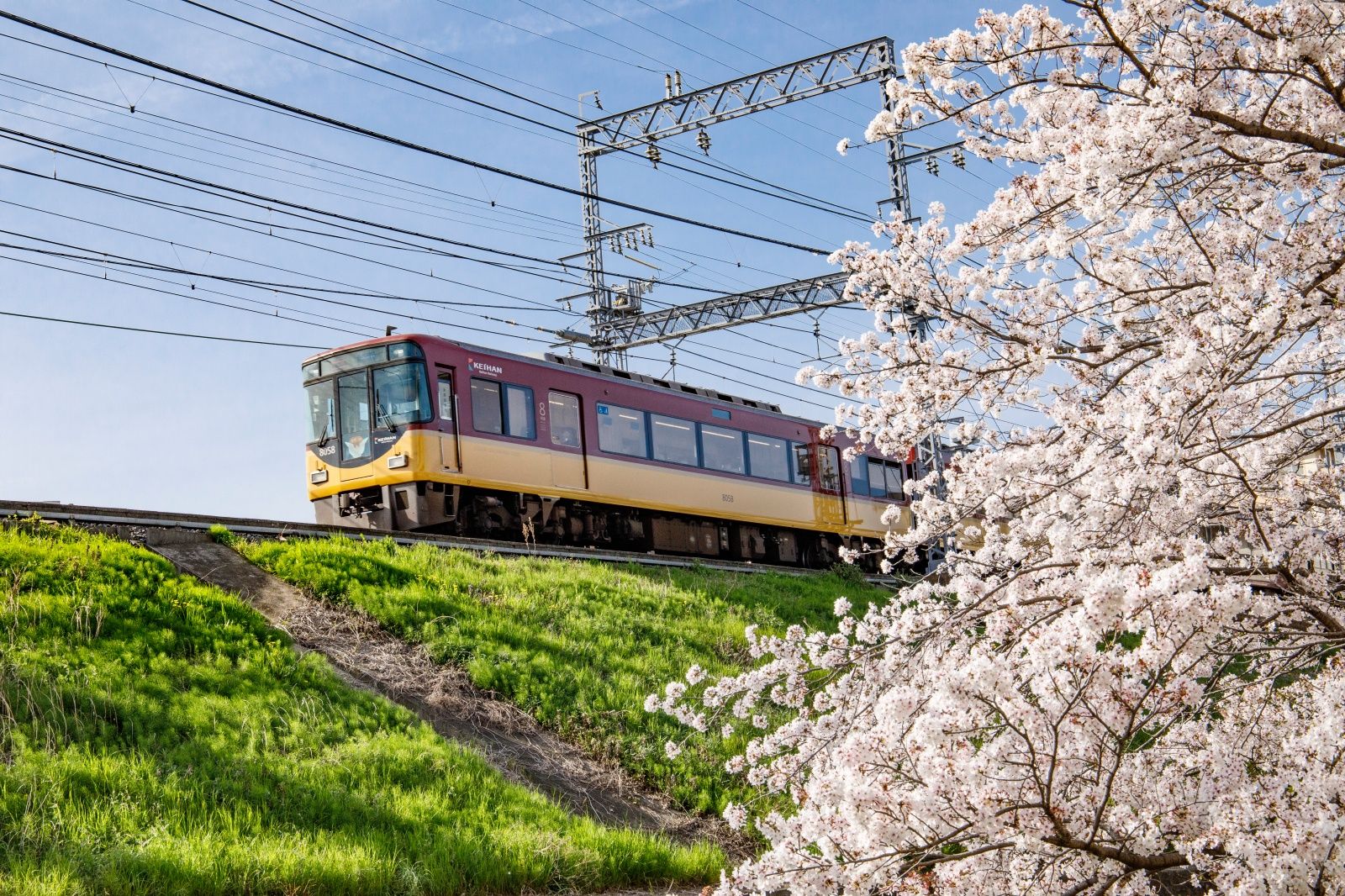 【デジタル乗車券】KYOTO-OSAKA SIGHTSEEING PASS 1day
