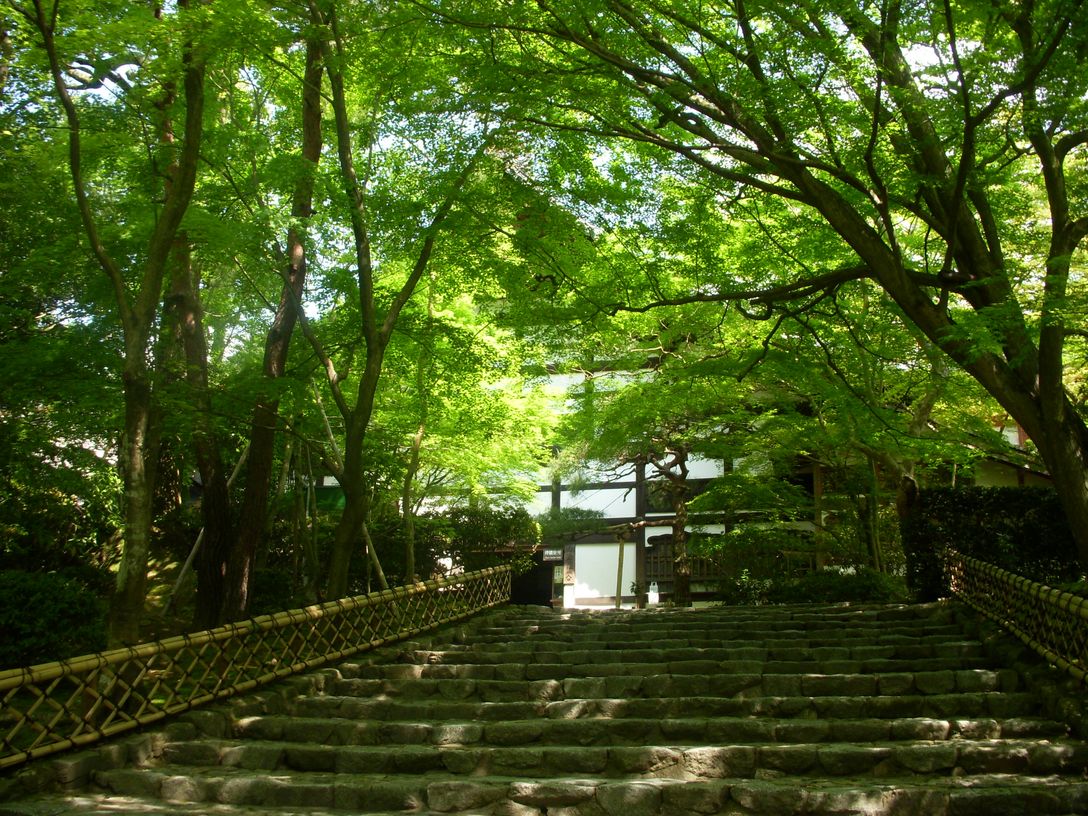 バスガイド 資料 奈良 京都 商品の説明必読 文化を紡ぐ、旅をプロデュースする。奈良交通が「案内をしない