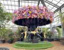 【最大100円引き】千葉 八千代市 京成バラ園 入園Eチケット 購入＜当日購入可＞