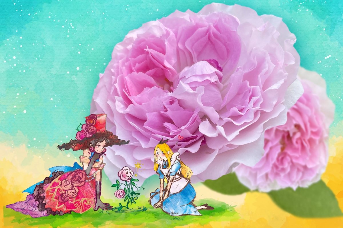 Chiba Yachiyo City Keisei Rose Garden Admission E-ticket