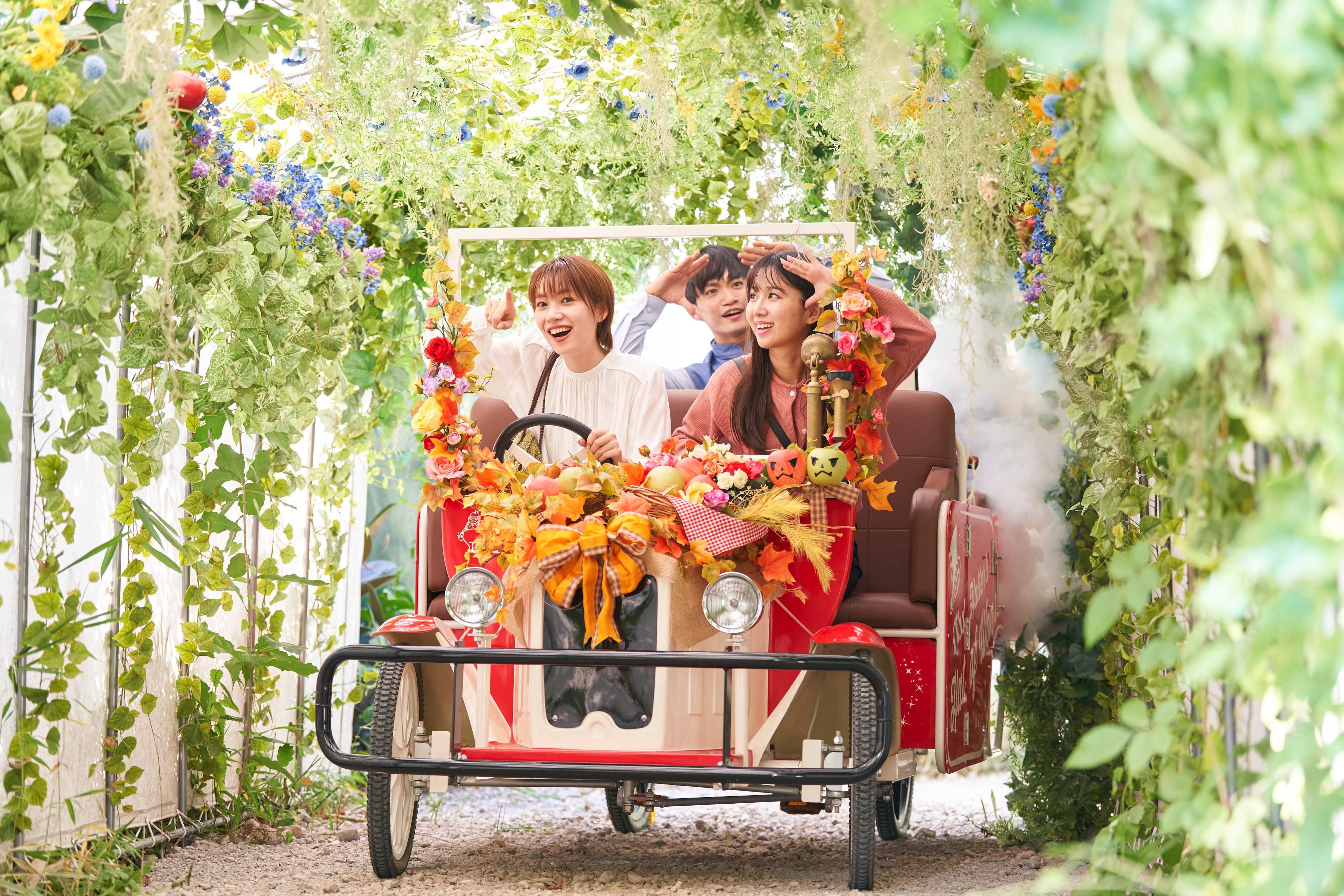 Chiba Yachiyo City Keisei Rose Garden Admission E-ticket