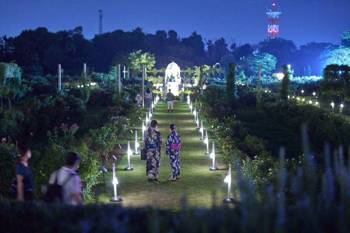 【100 yen discount】Chiba Yachiyo City Keisei Rose Garden Admission E-ticket