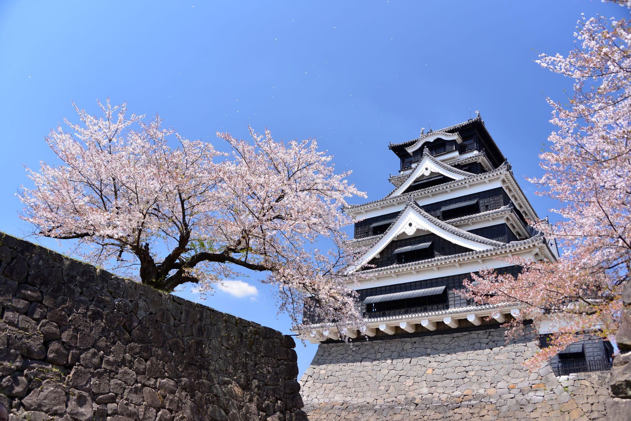 熊本城入園券