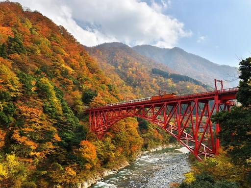 黒部峡谷トロッコ電車 お得な切符