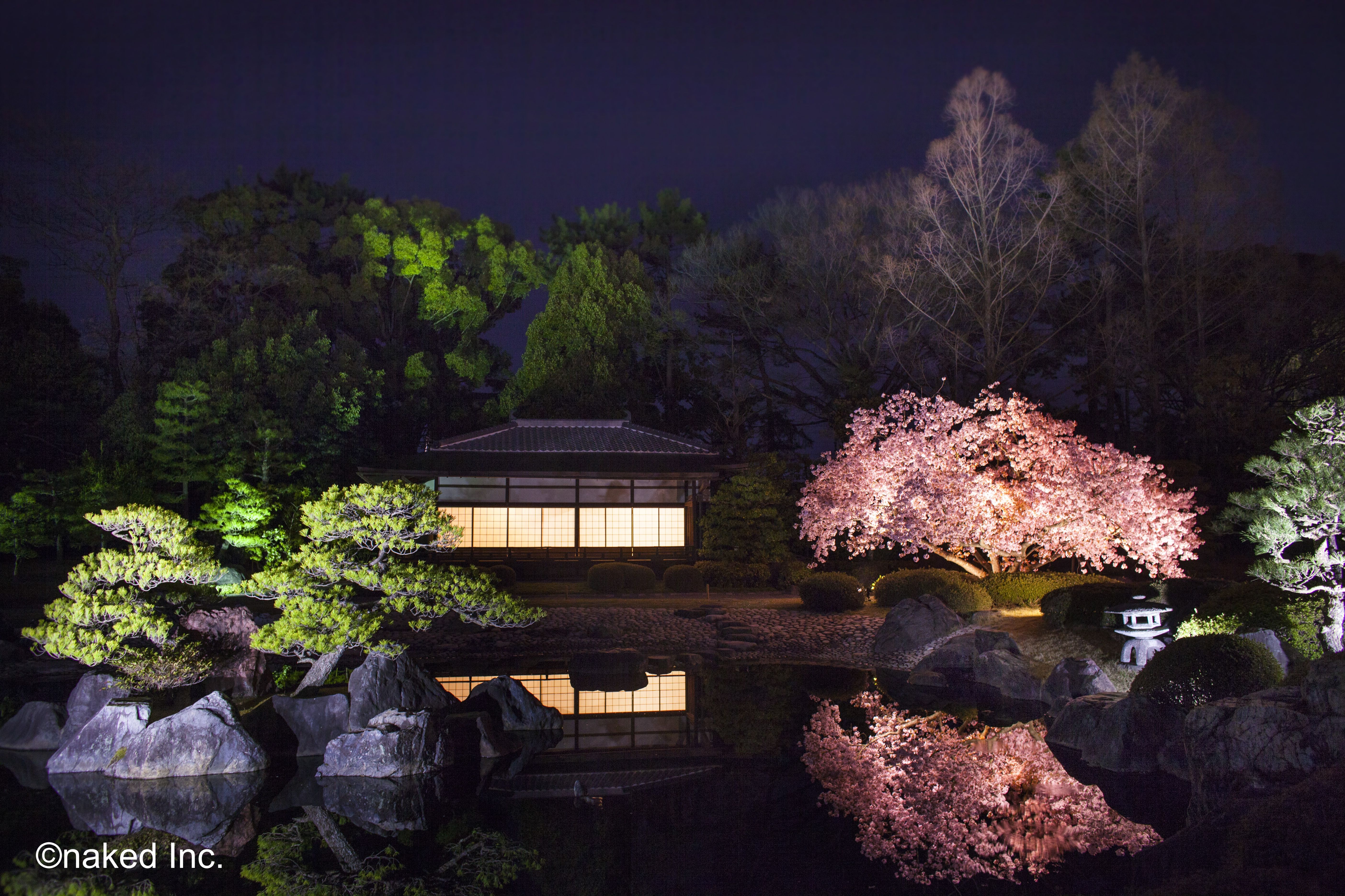 京都 NAKED桜まつり 2024 世界遺産・二条城 Eチケット