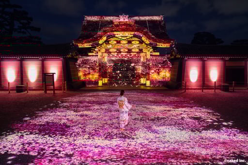 NAKED meets 二条城 2025 桜