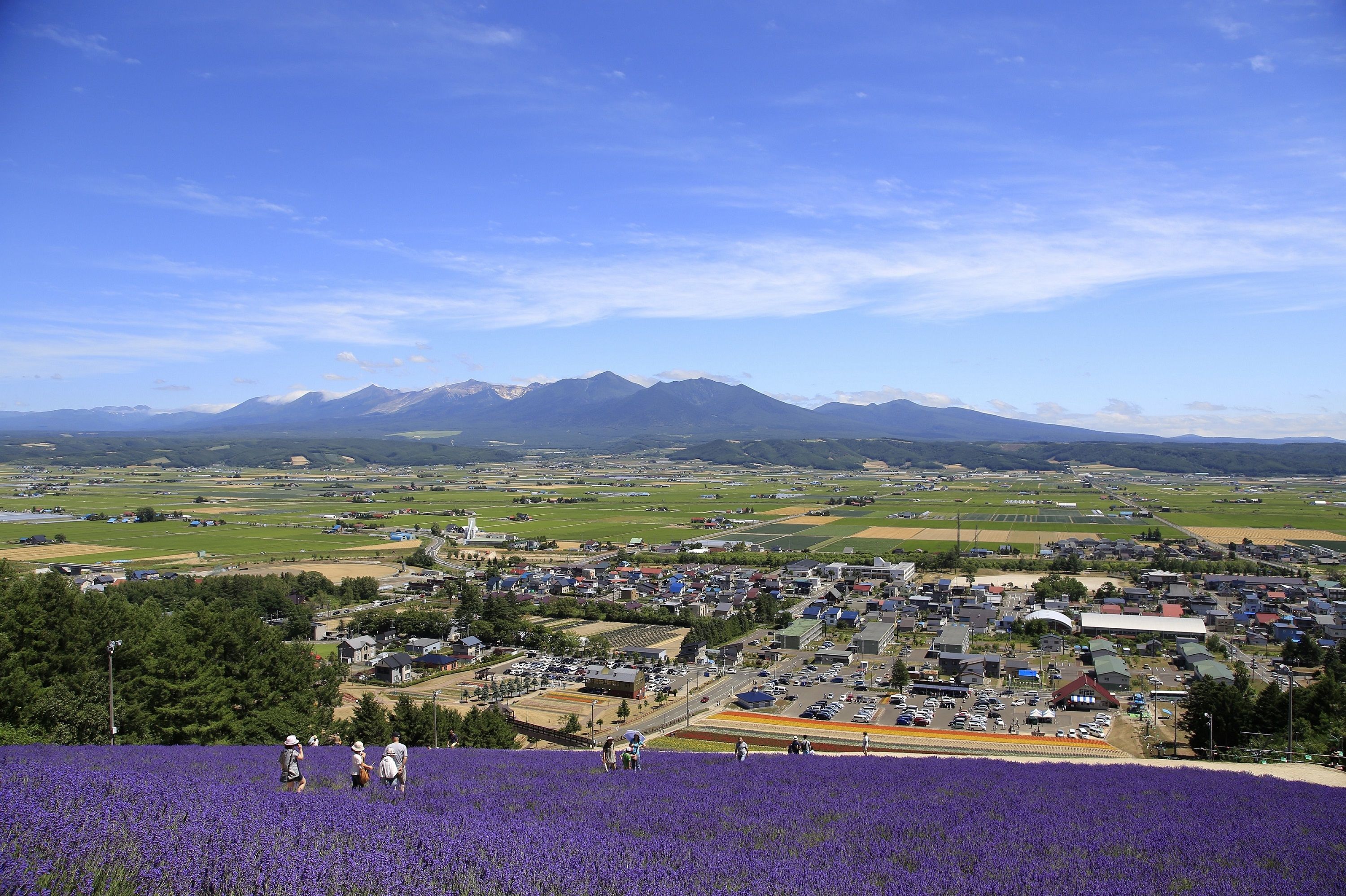 北海道 北星山ラベンダー園 観光リフト乗車Eチケット