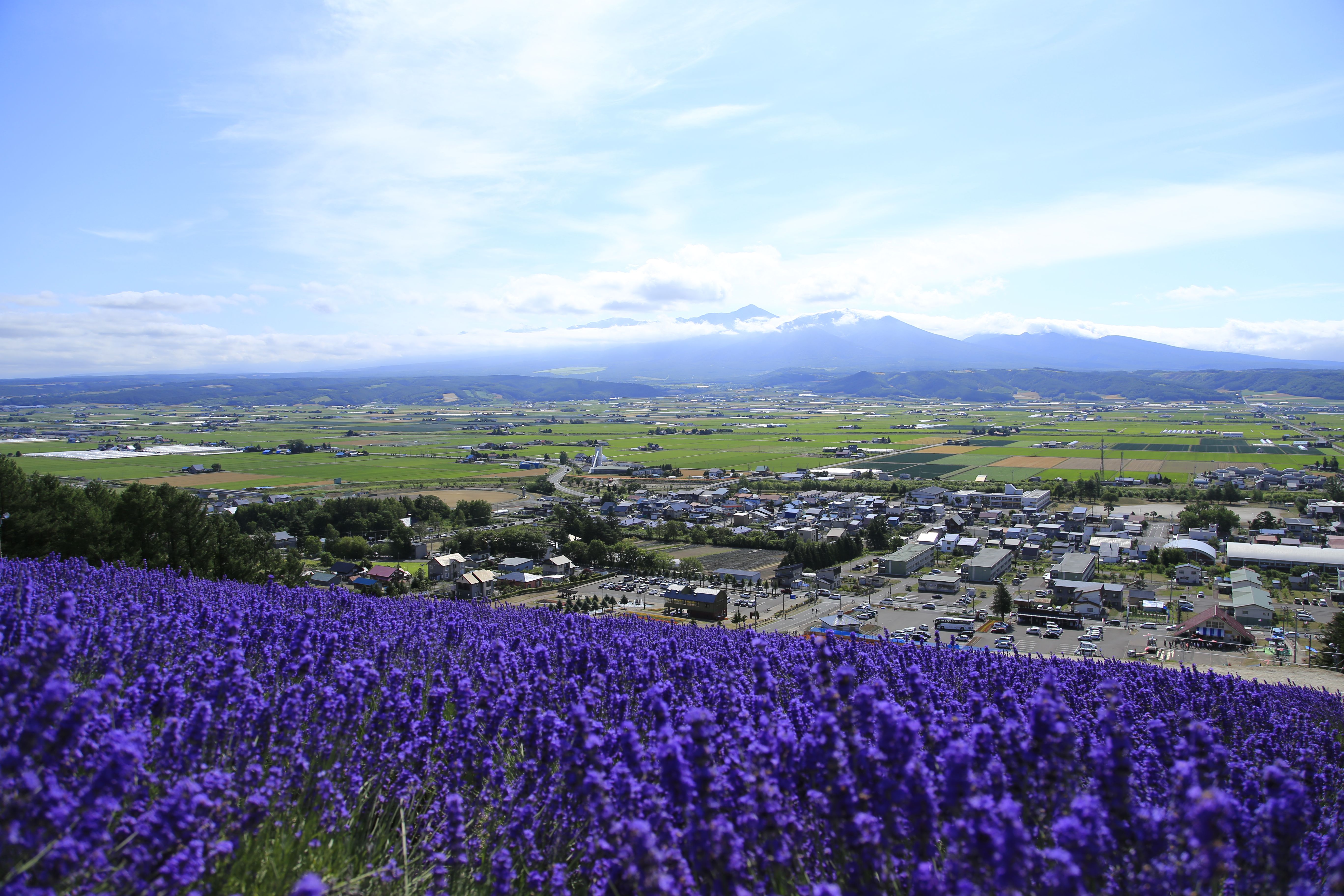 Hokkaido Hokuseiyama Lavender Field Sightseeing Lift Ride E-ticket