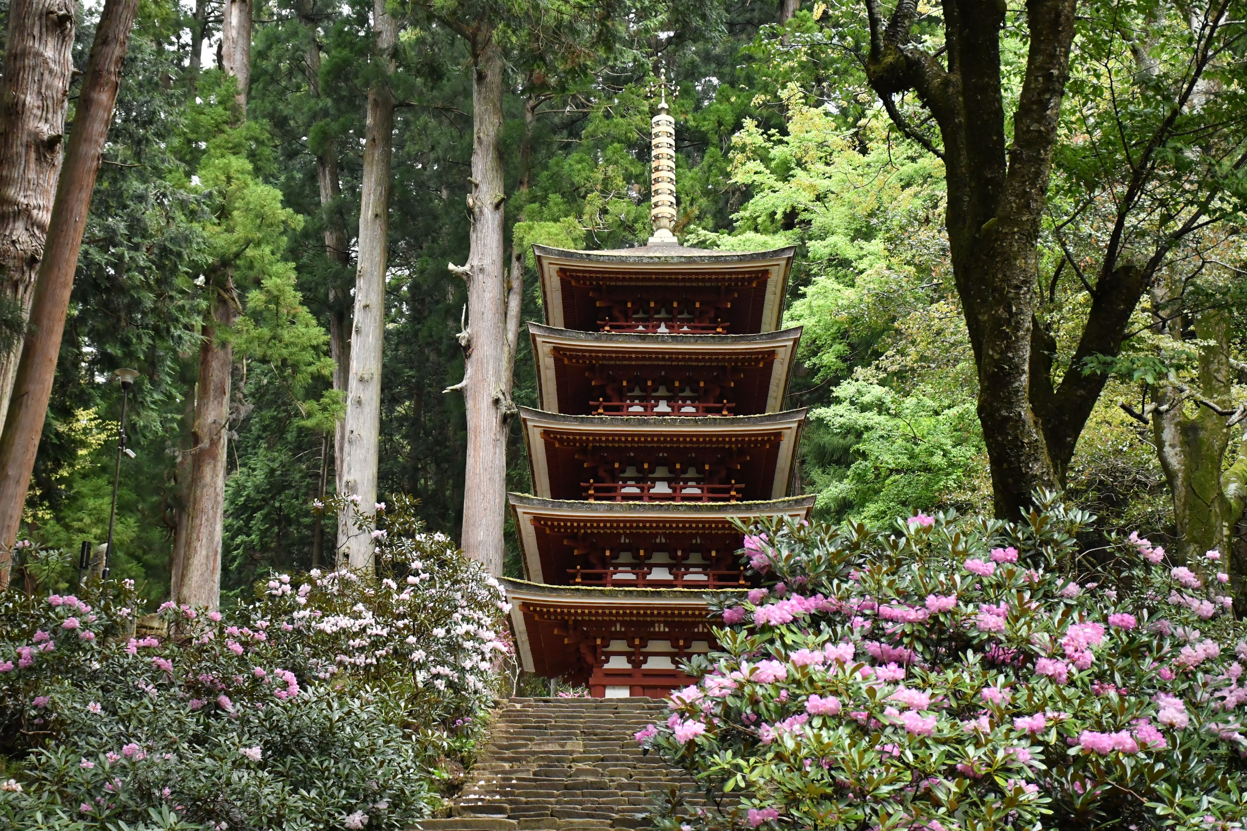 Osaka-Nara Discovery Pass (Southern Route)