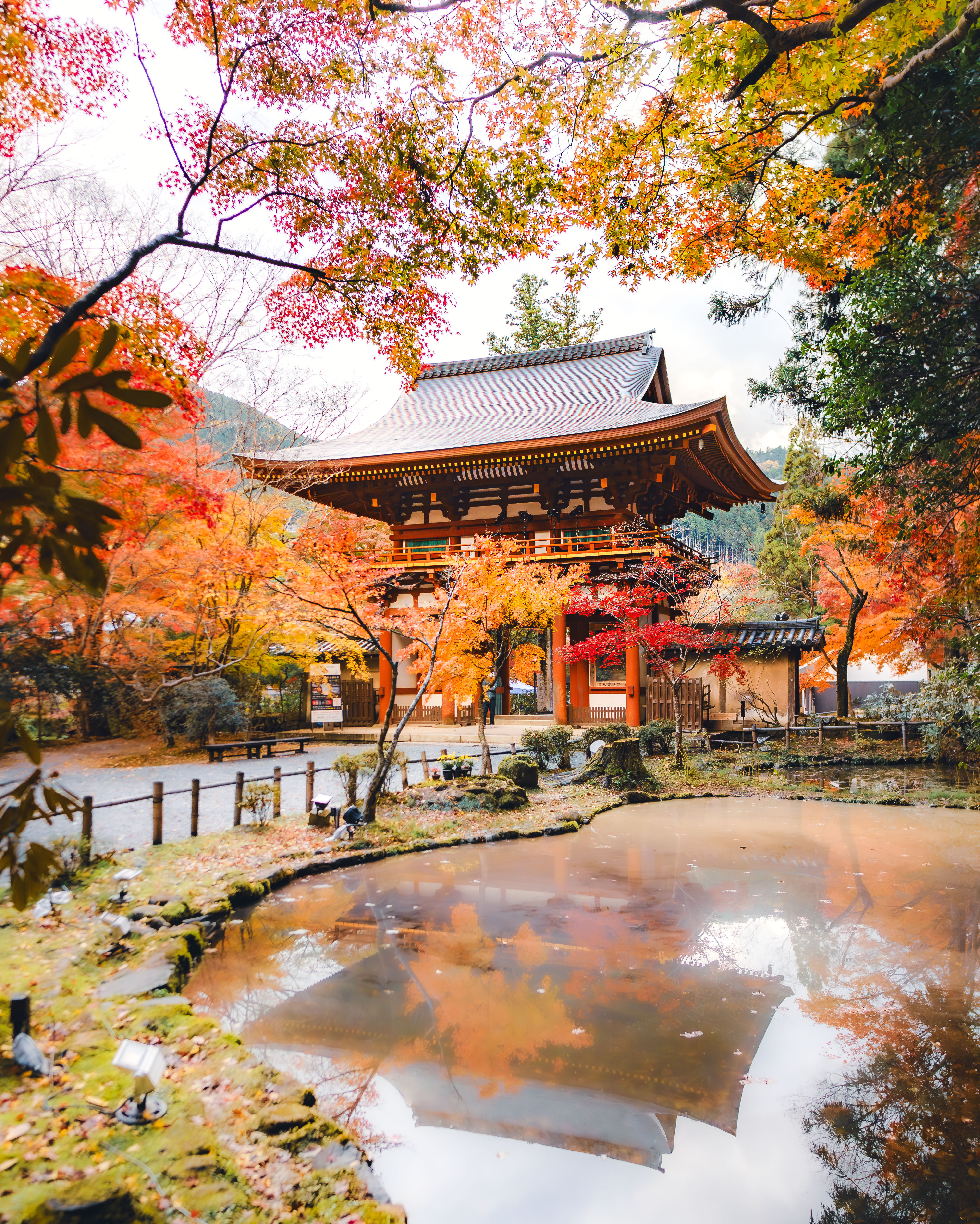 Osaka-Nara Discovery Pass (Southern Route)