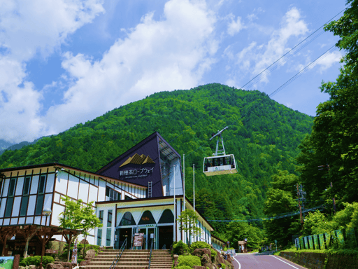 岐阜 新穂高ロープウェイ 往復Eチケット