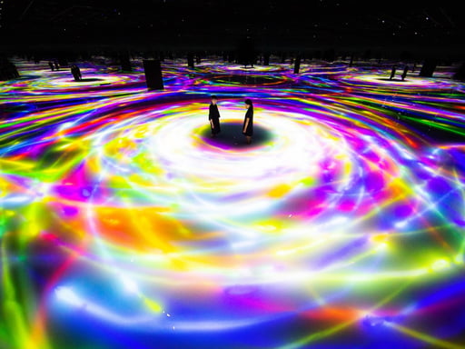 チームラボプラネッツ TOKYO DMM 入場チケット