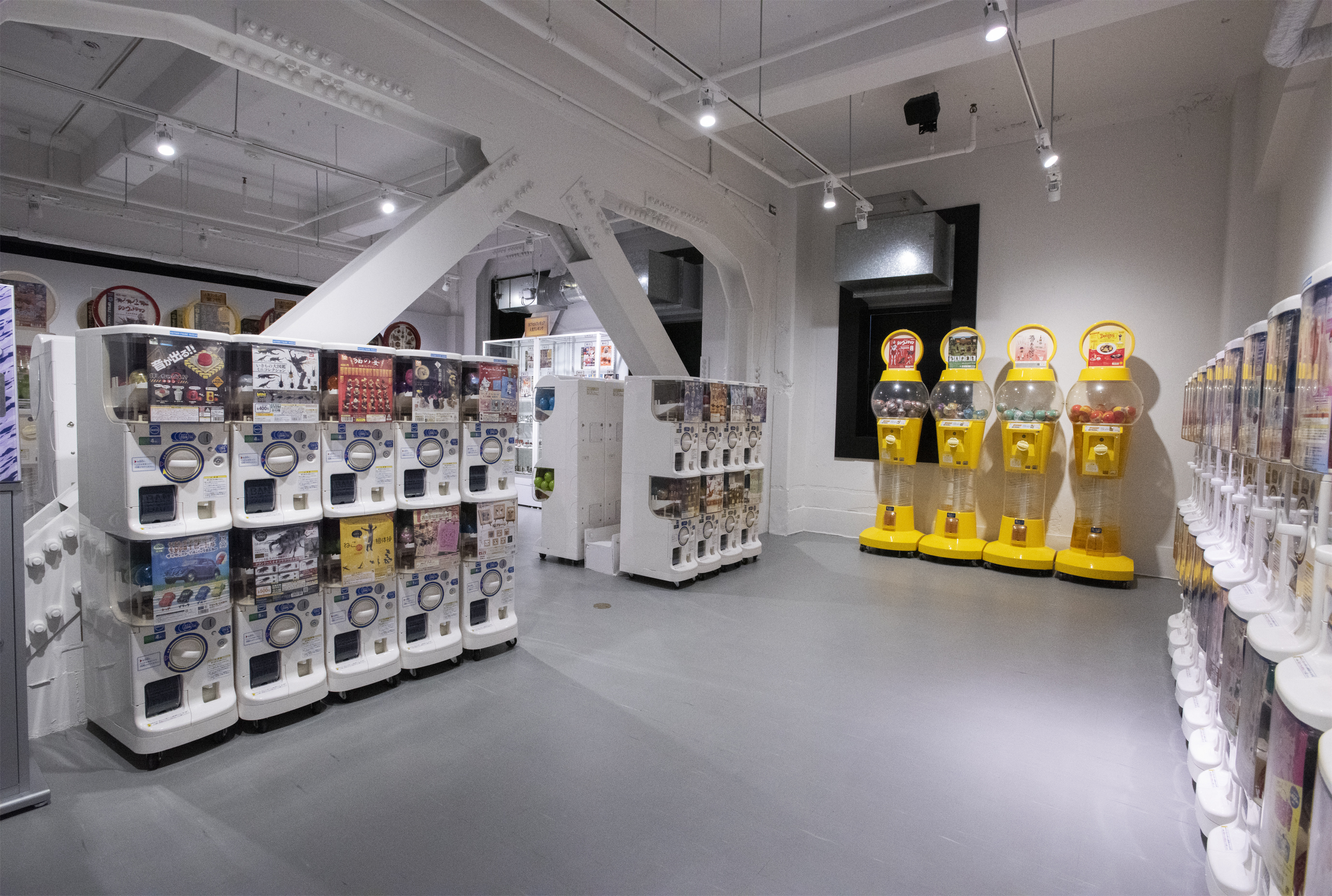 フィギュア　海遊館ミュージアム(全12種)コンプリート 海洋堂フィギュア展関連事業のお知らせ – 釧路市立美術館