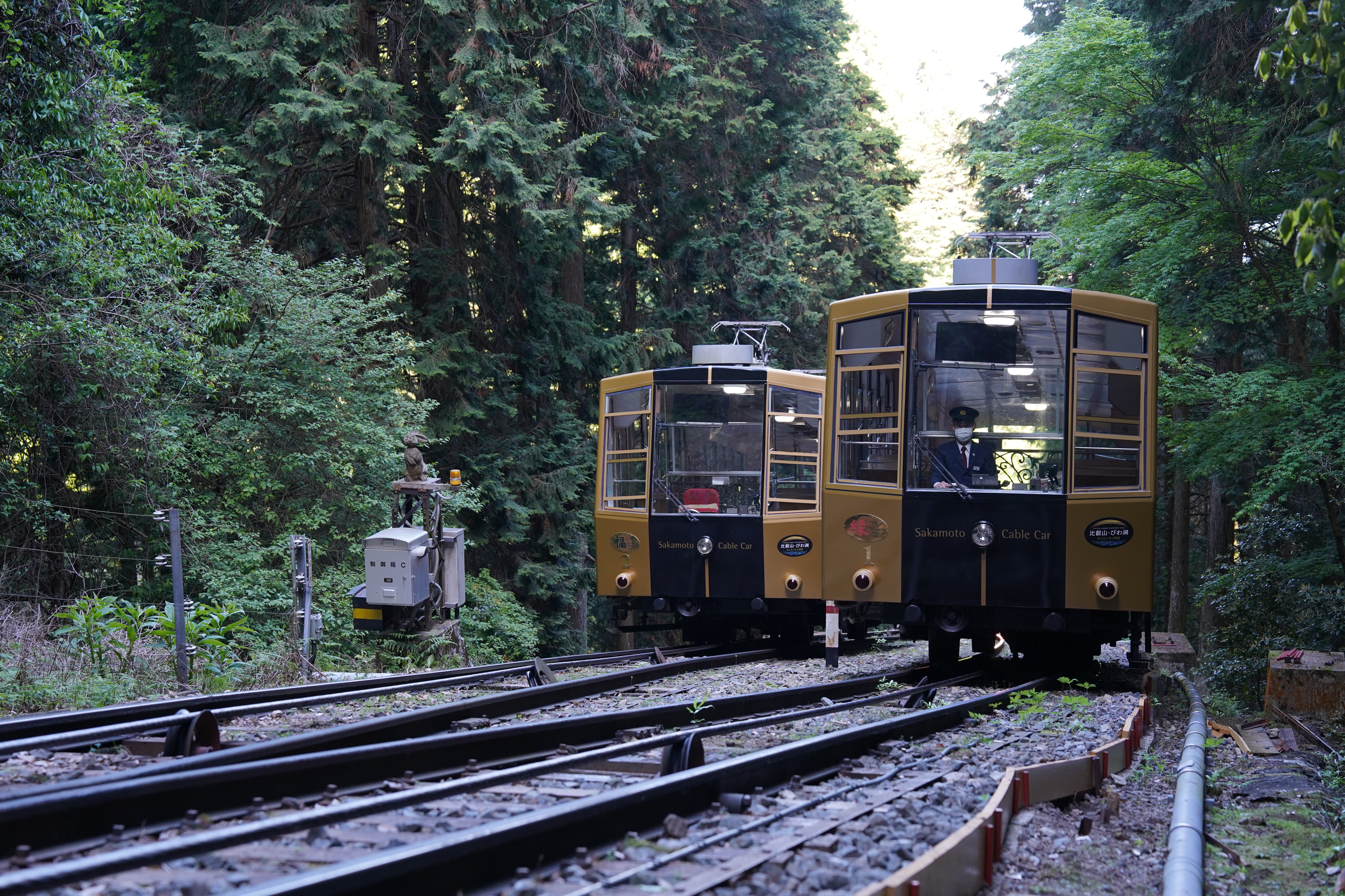 Sakamoto Cable Car: Round-Trip / One-Way Ticket