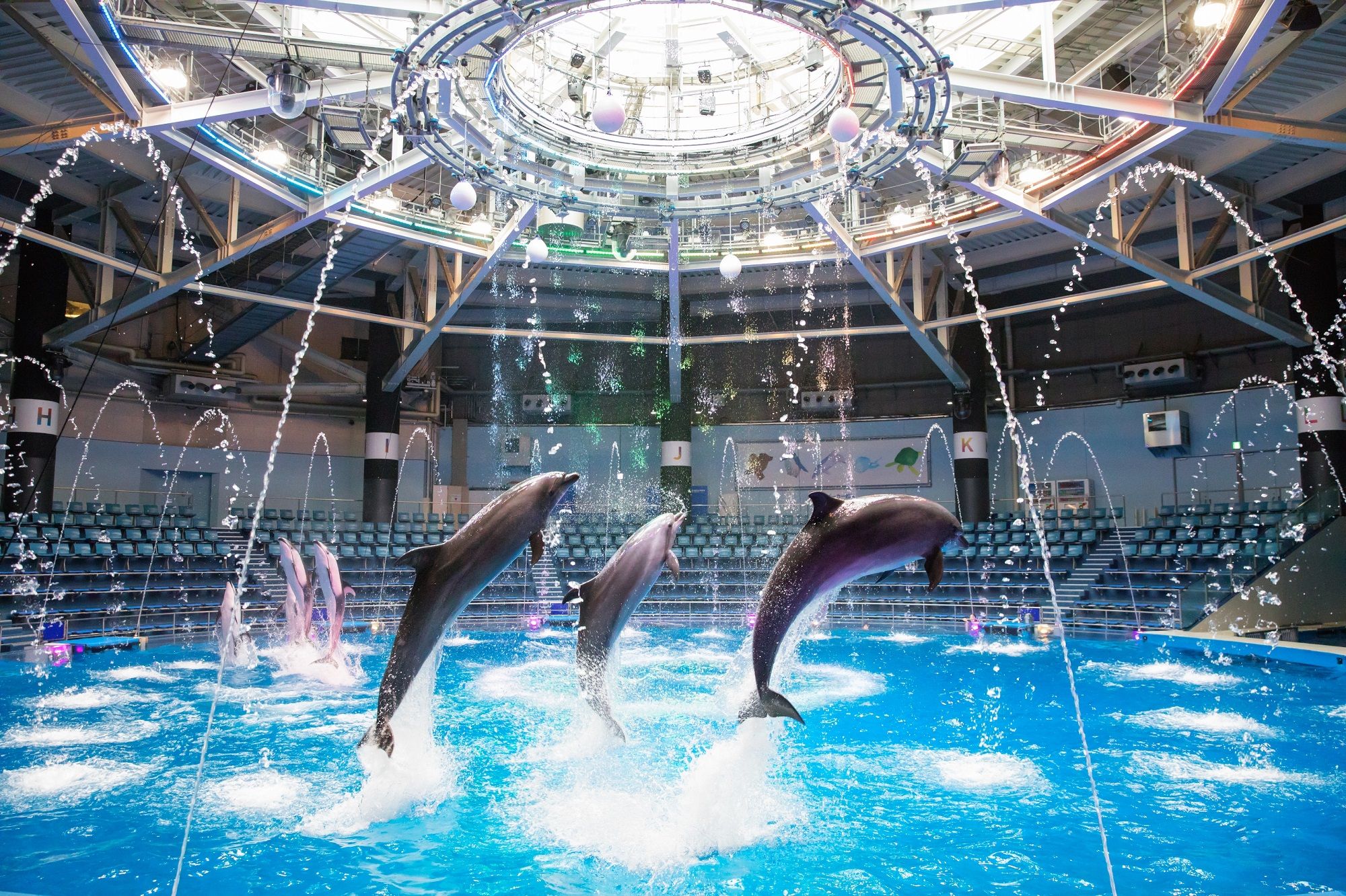 【日本】東京｜品川水族館｜門票