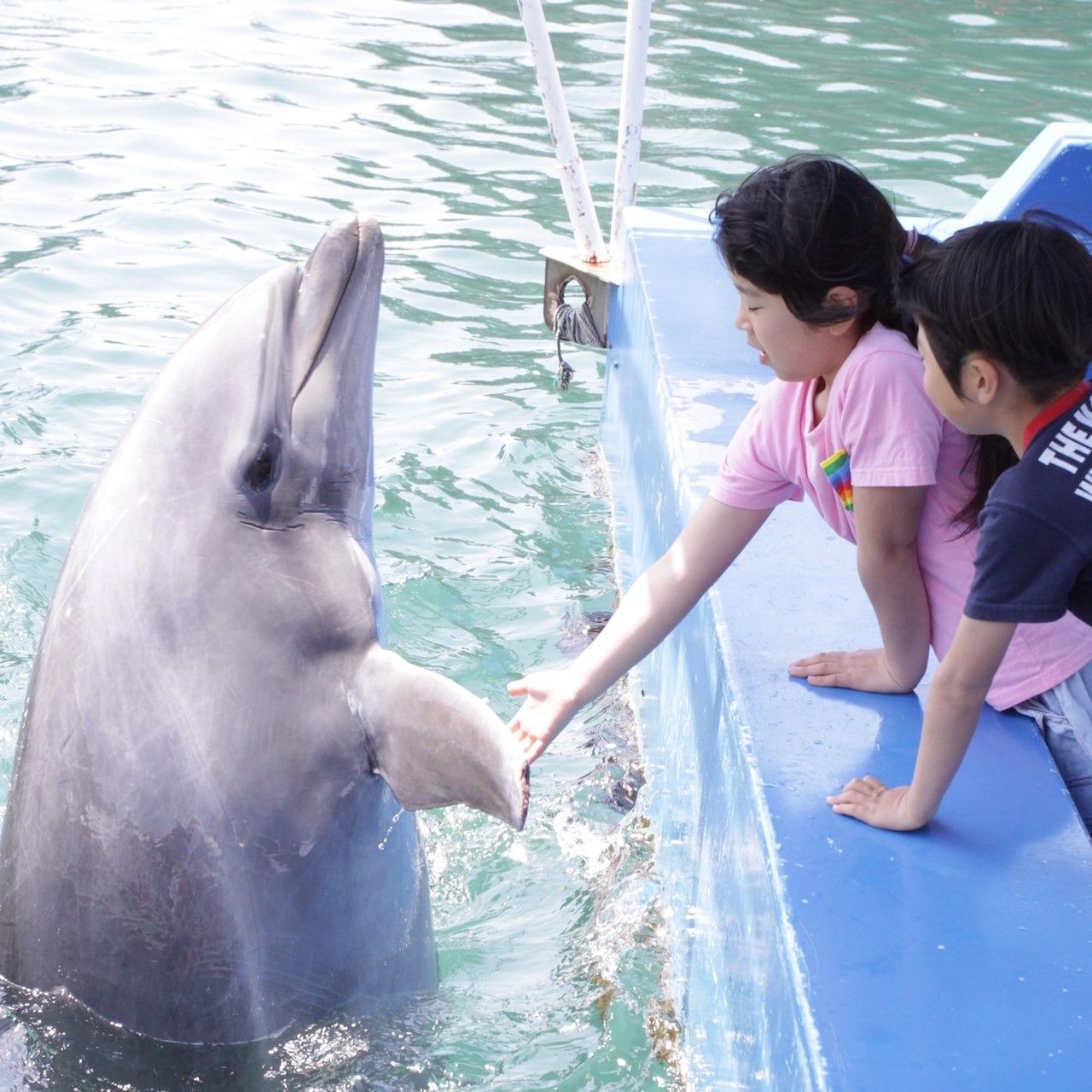 【現地購入より最大300円引き】伊豆 下田海中水族館 Eチケット