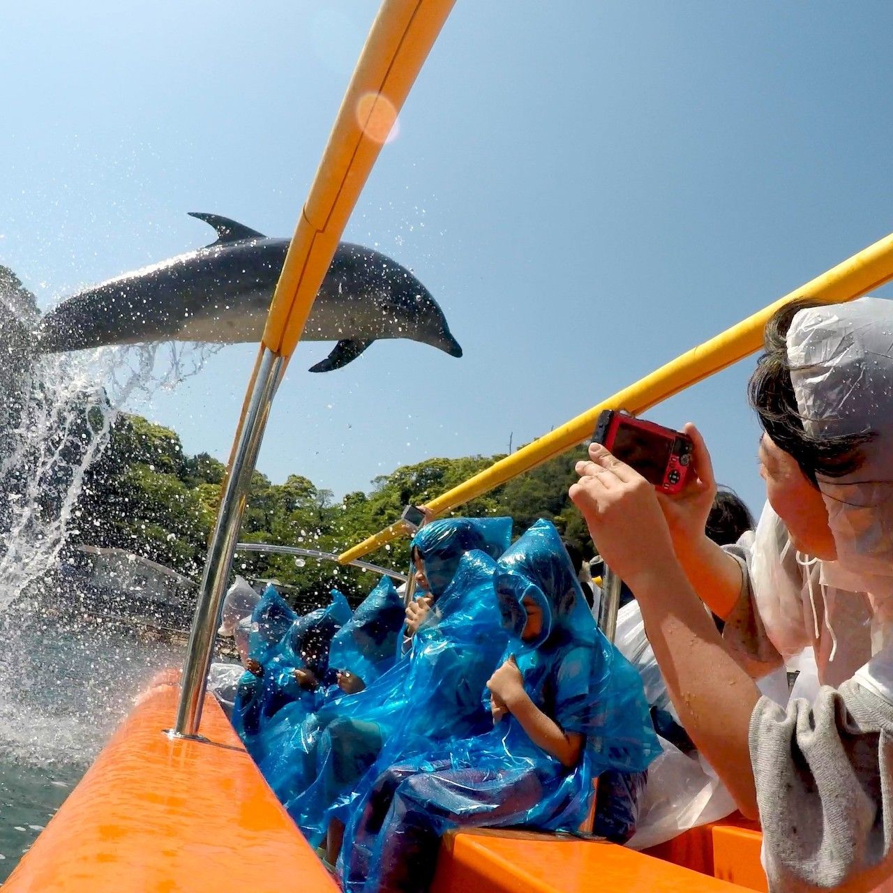 【現地購入より最大300円引き】伊豆 下田海中水族館 Eチケット