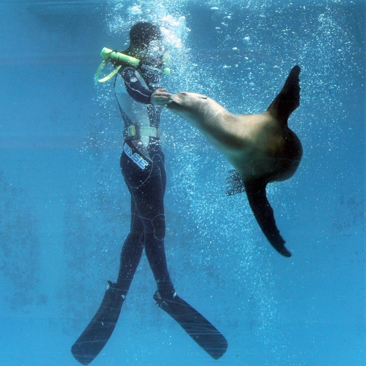 【現地購入より最大300円引き】伊豆 下田海中水族館 Eチケット