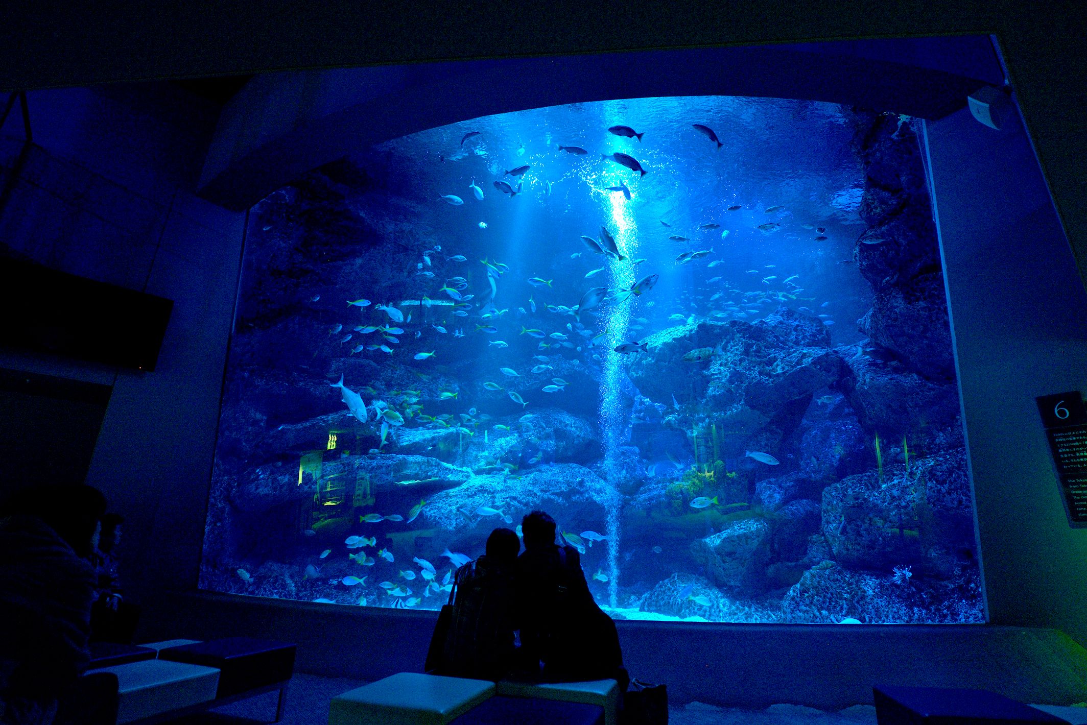 Sumida Aquarium Admission Ticket