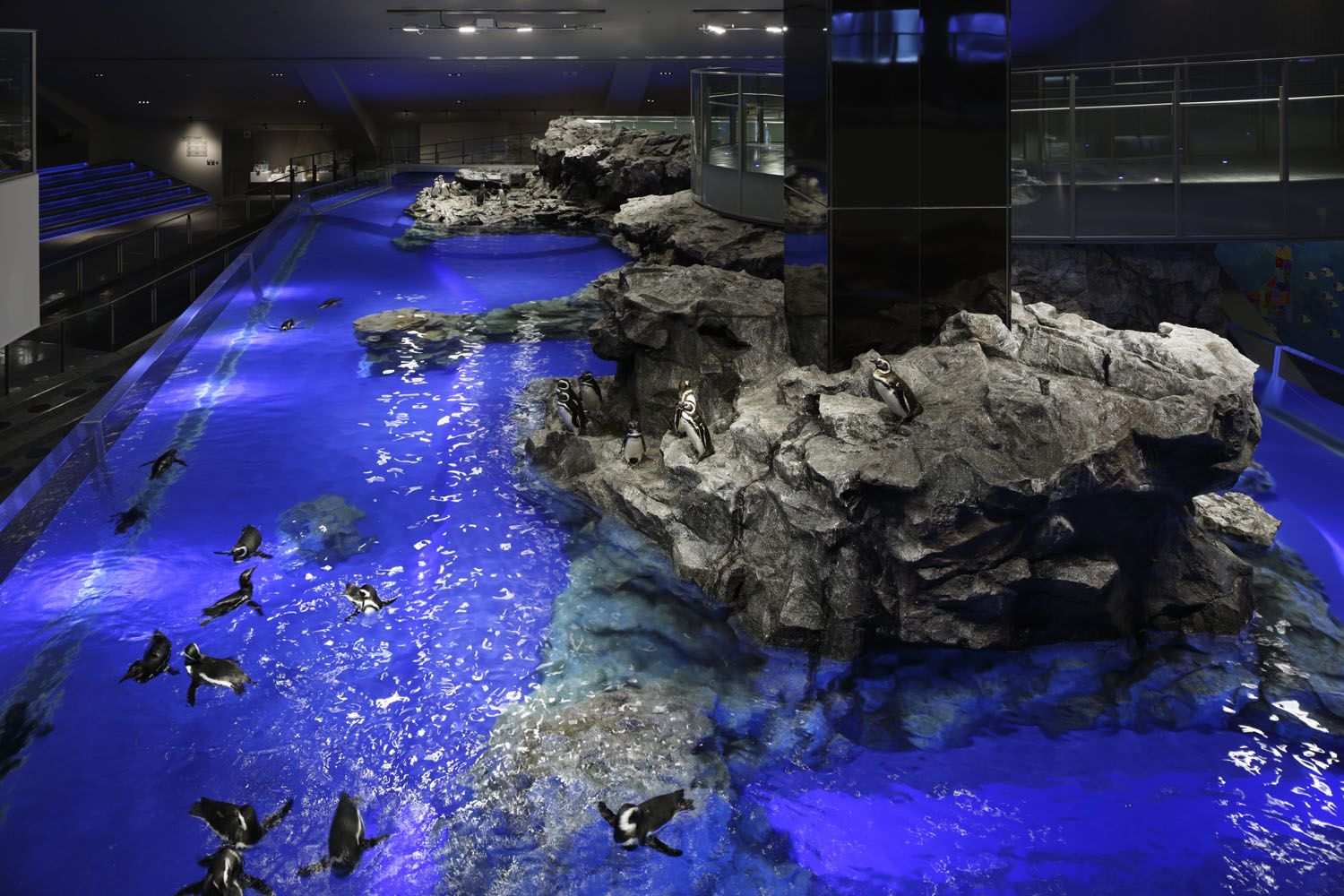 Sumida Aquarium Admission Ticket