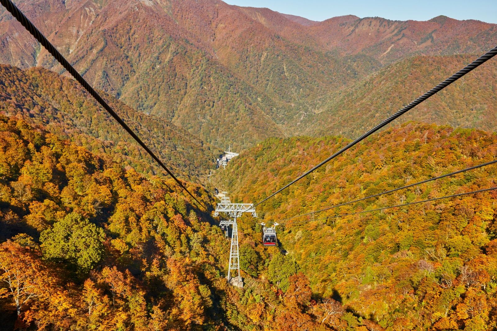 群馬 谷川岳 ロープウェイ・リフトセット券（往復）＜日付指定＞
